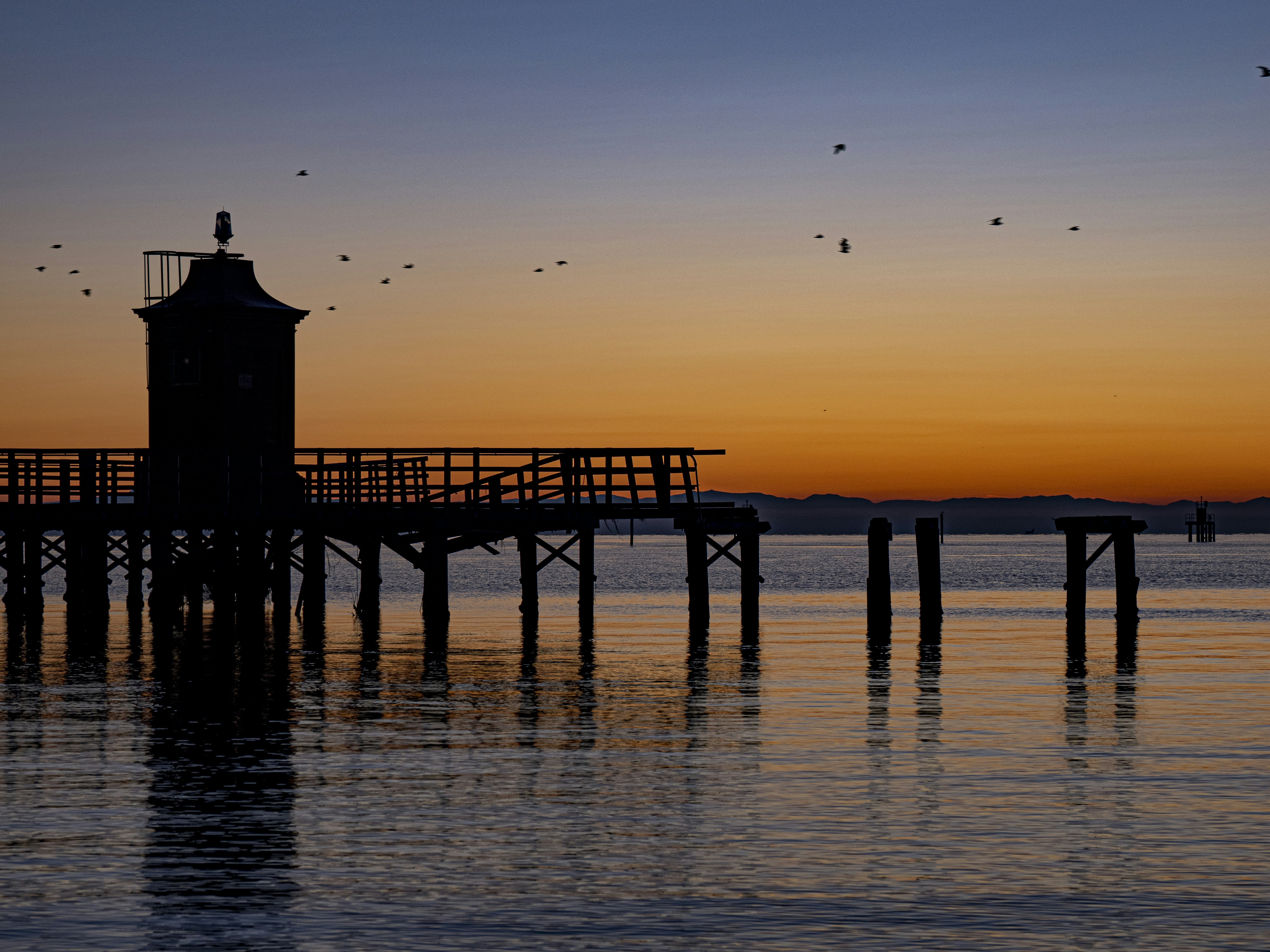 Photo by gopitri_prem