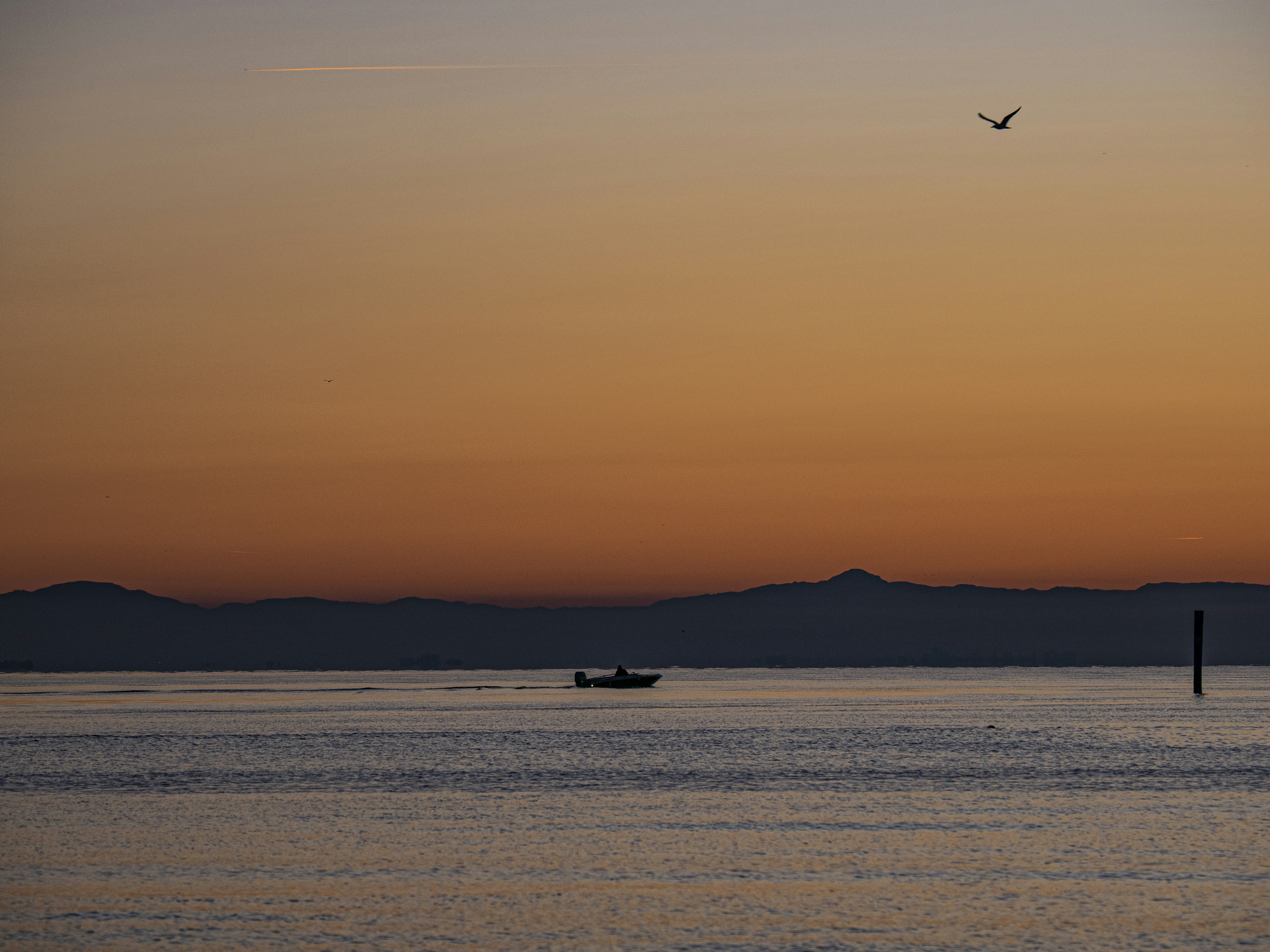 Photo by gopitri_prem