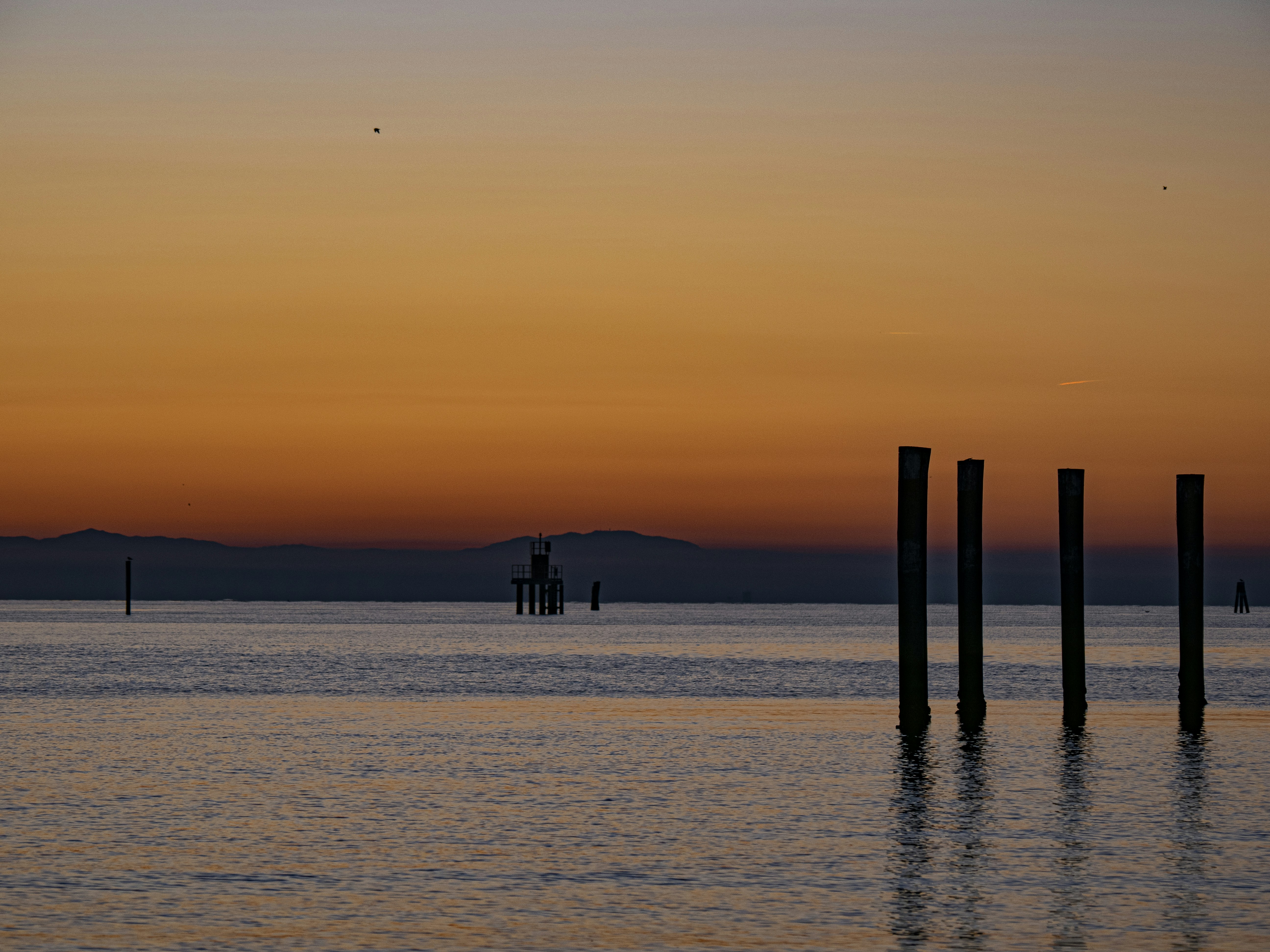 Photo by gopitri_prem