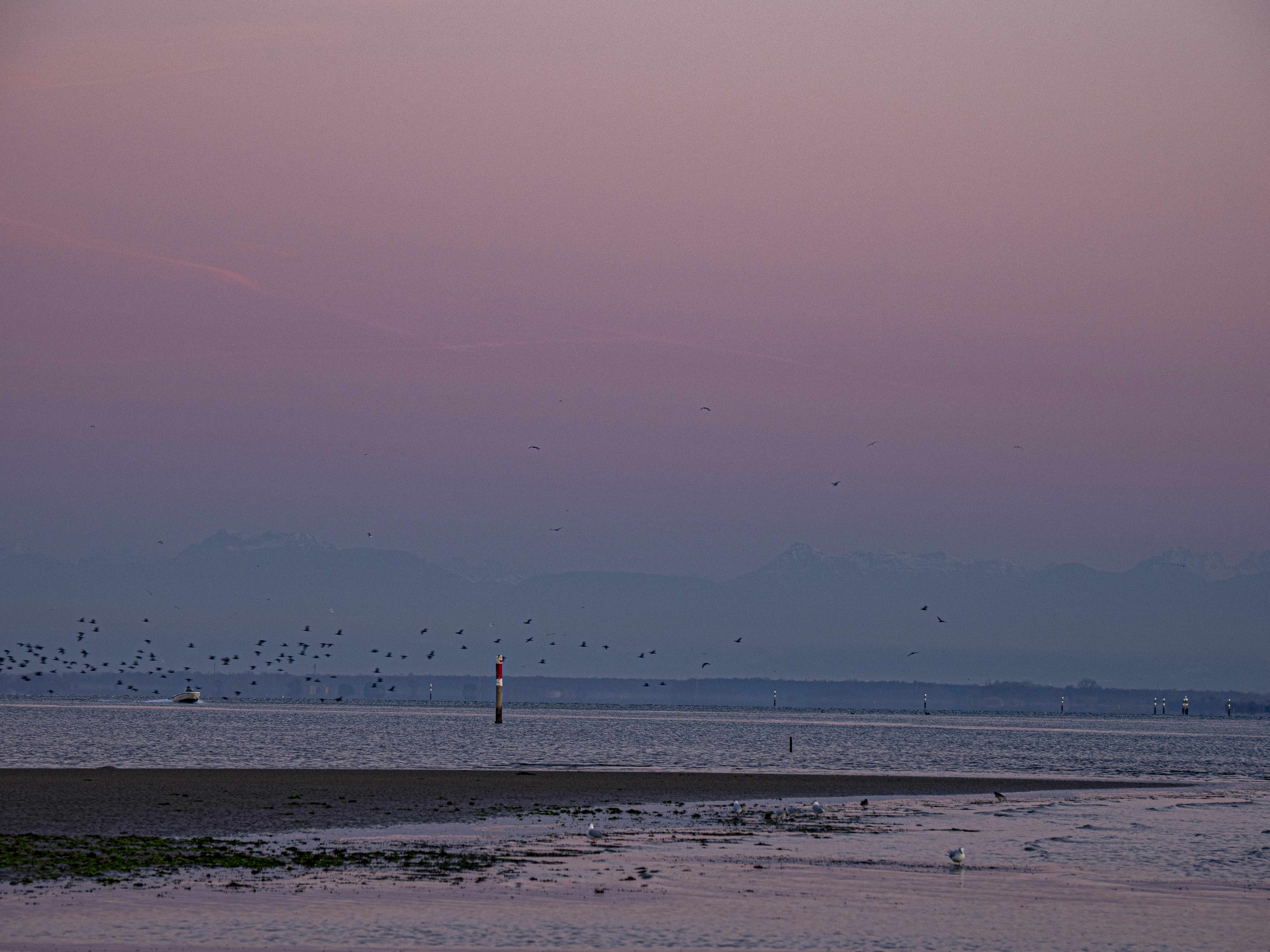 Photo by gopitri_prem