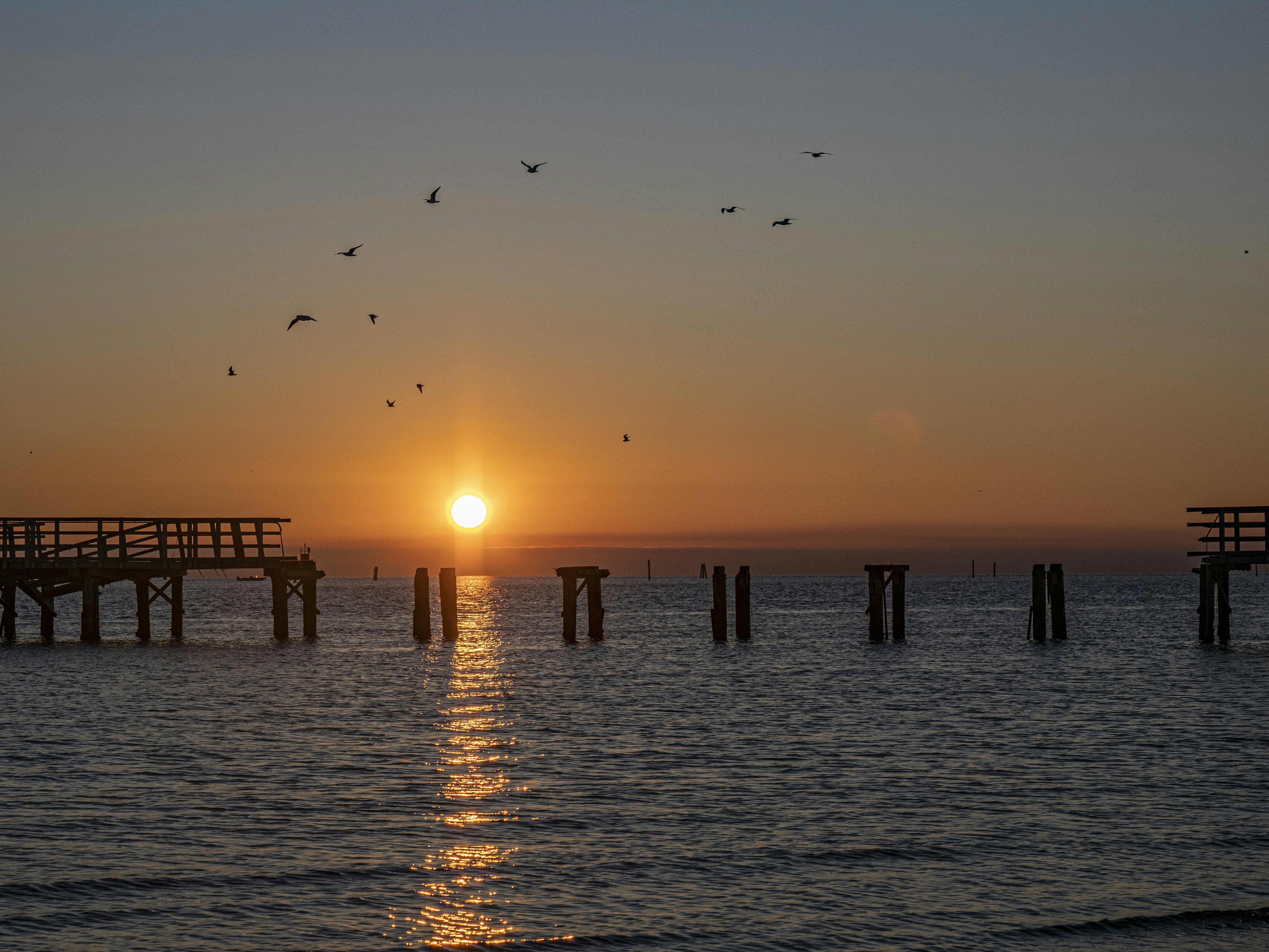 Photo by gopitri_prem