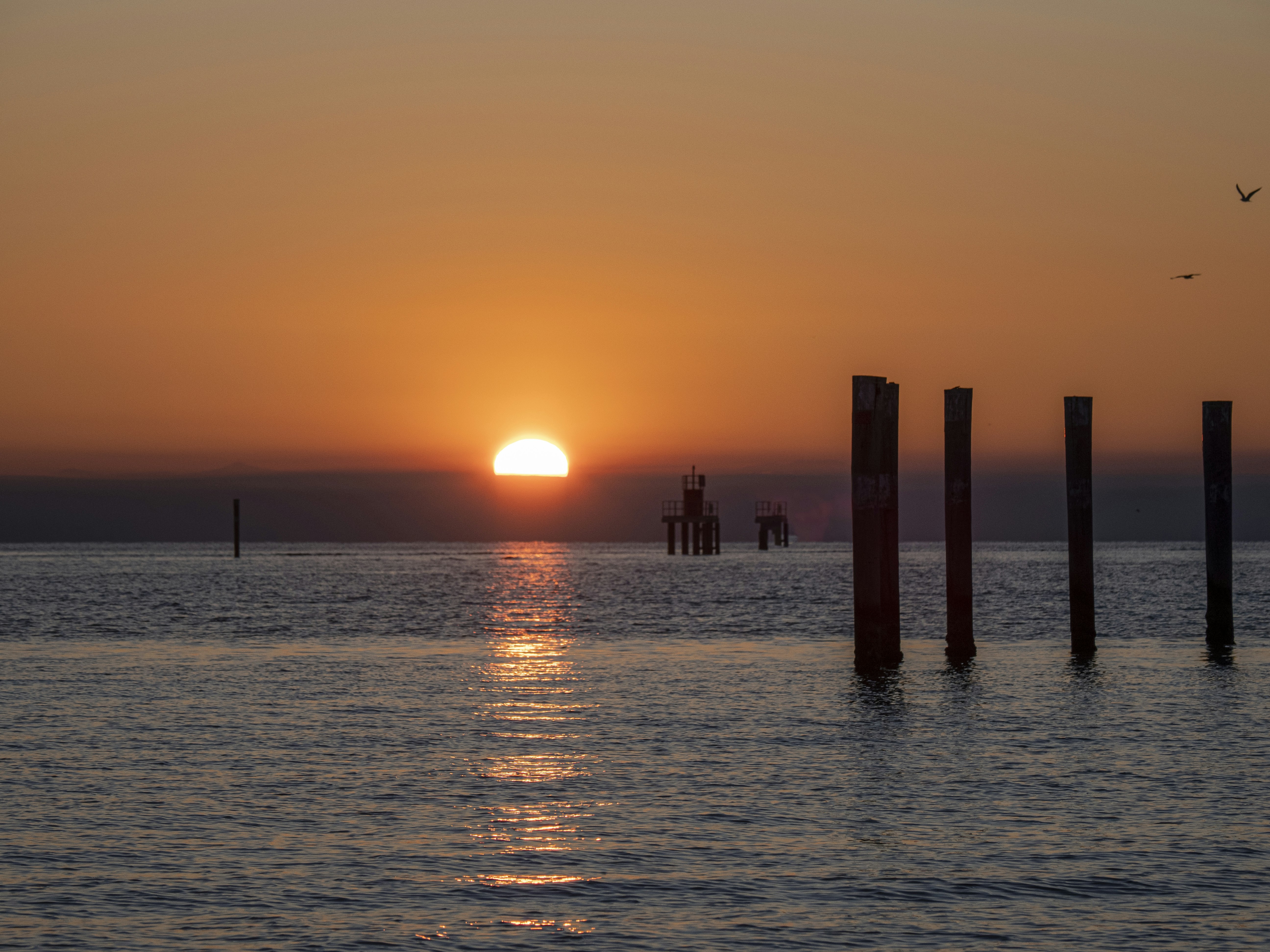 Photo by gopitri_prem