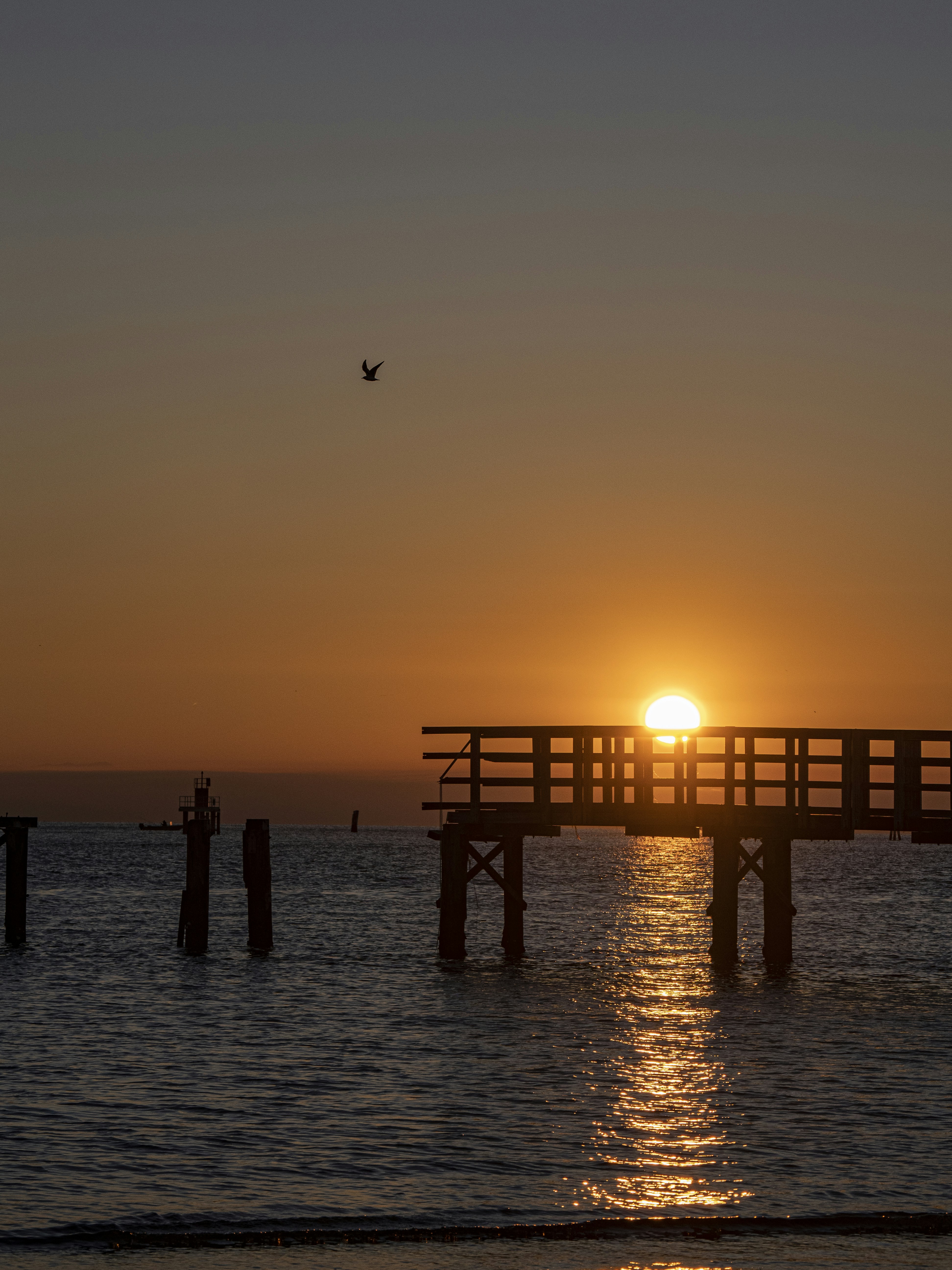 Photo by gopitri_prem