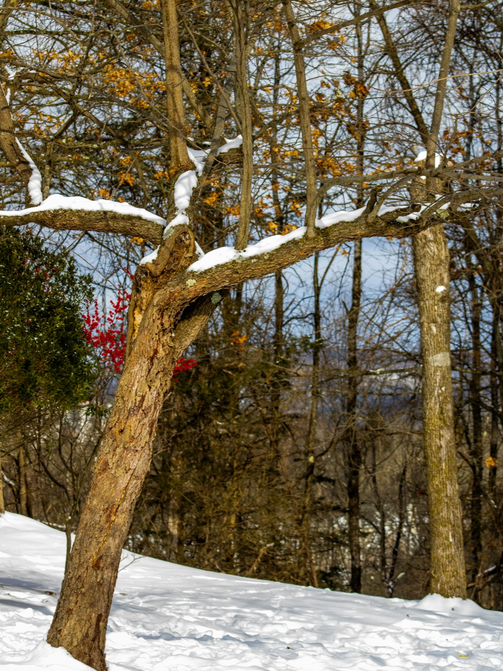 a man riding a snowboard down a snow covered slope