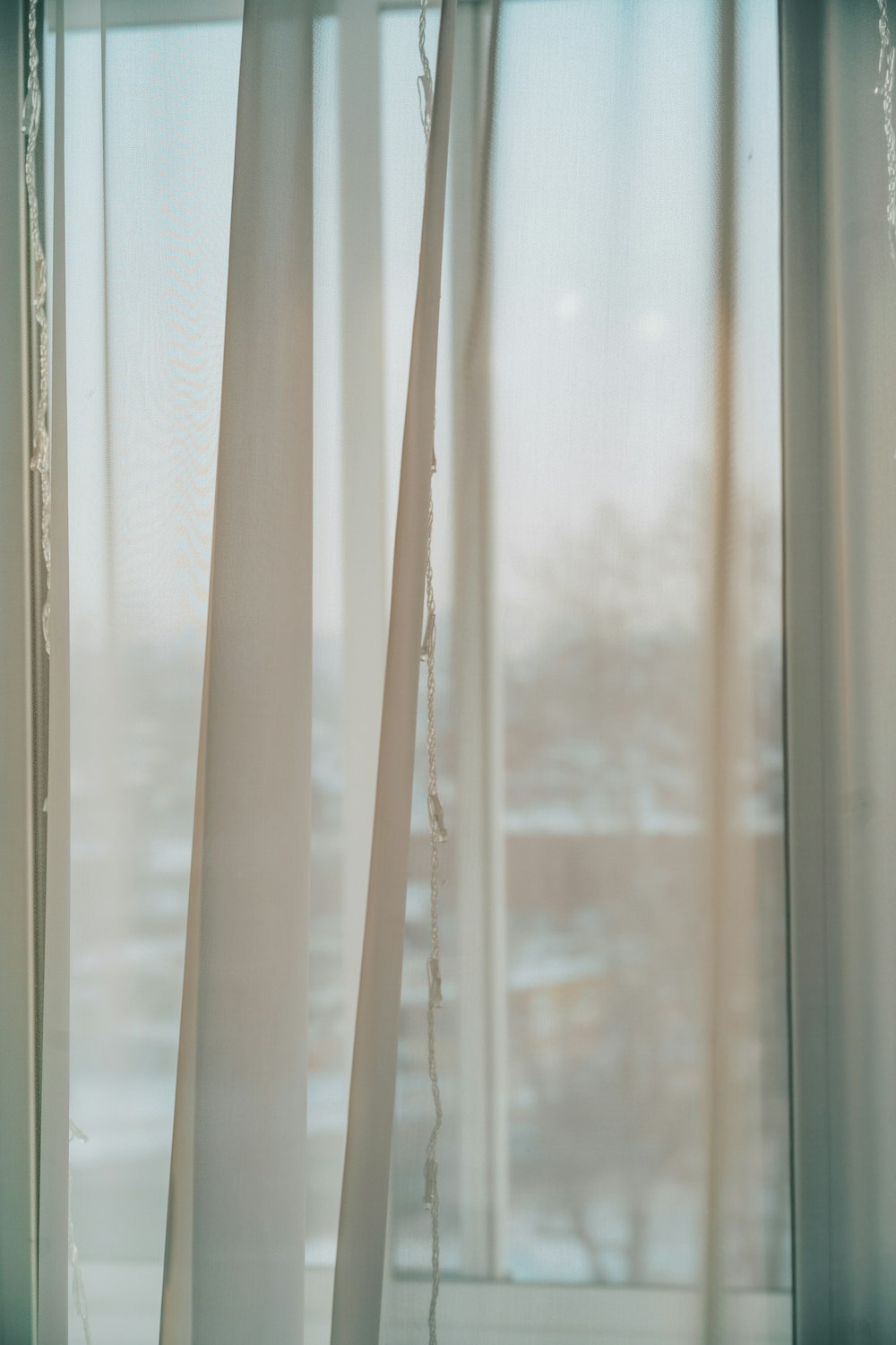 a cat sitting on a window sill in front of a window