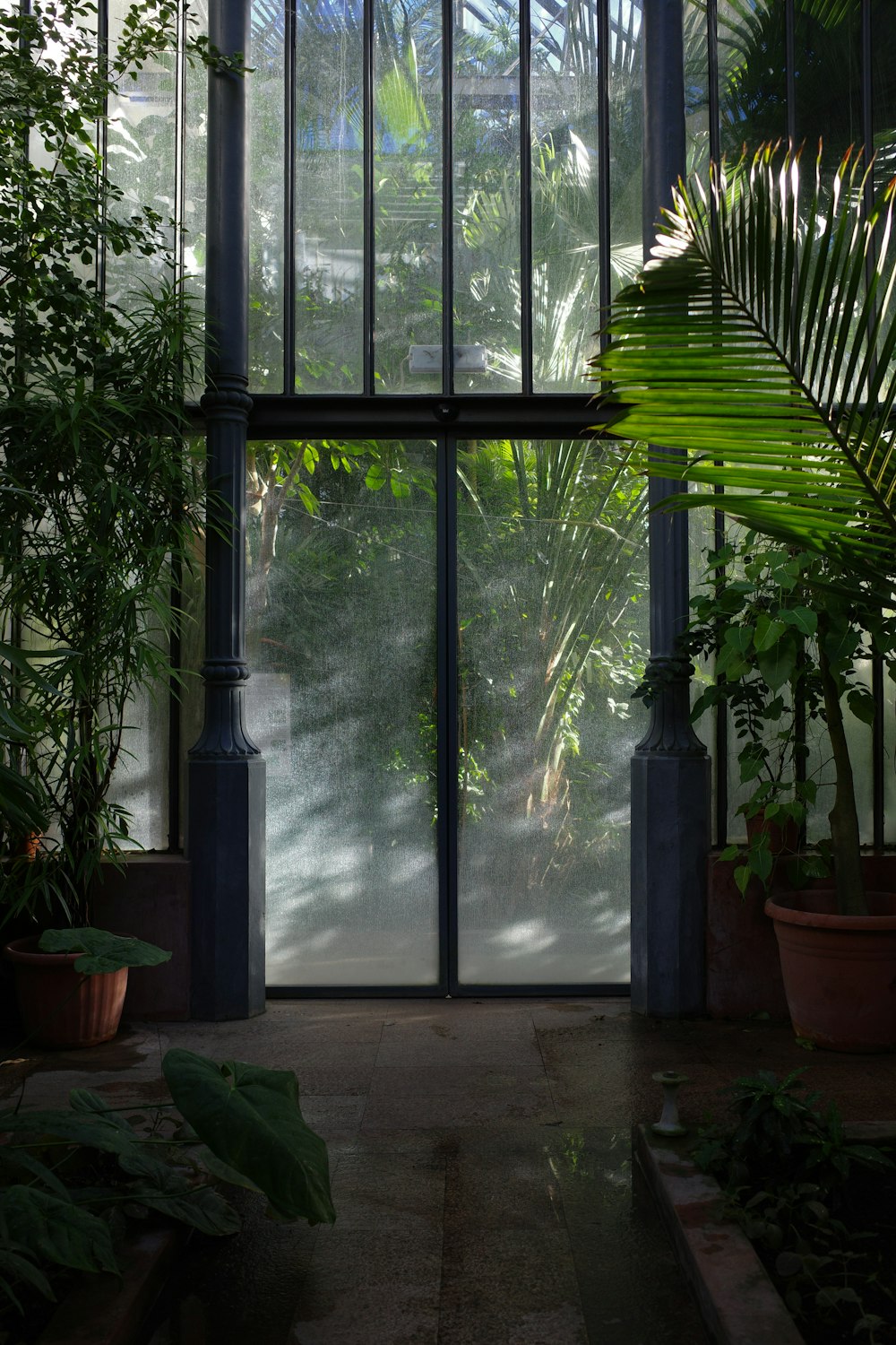 uma sala cheia de muitas plantas verdes ao lado de uma janela