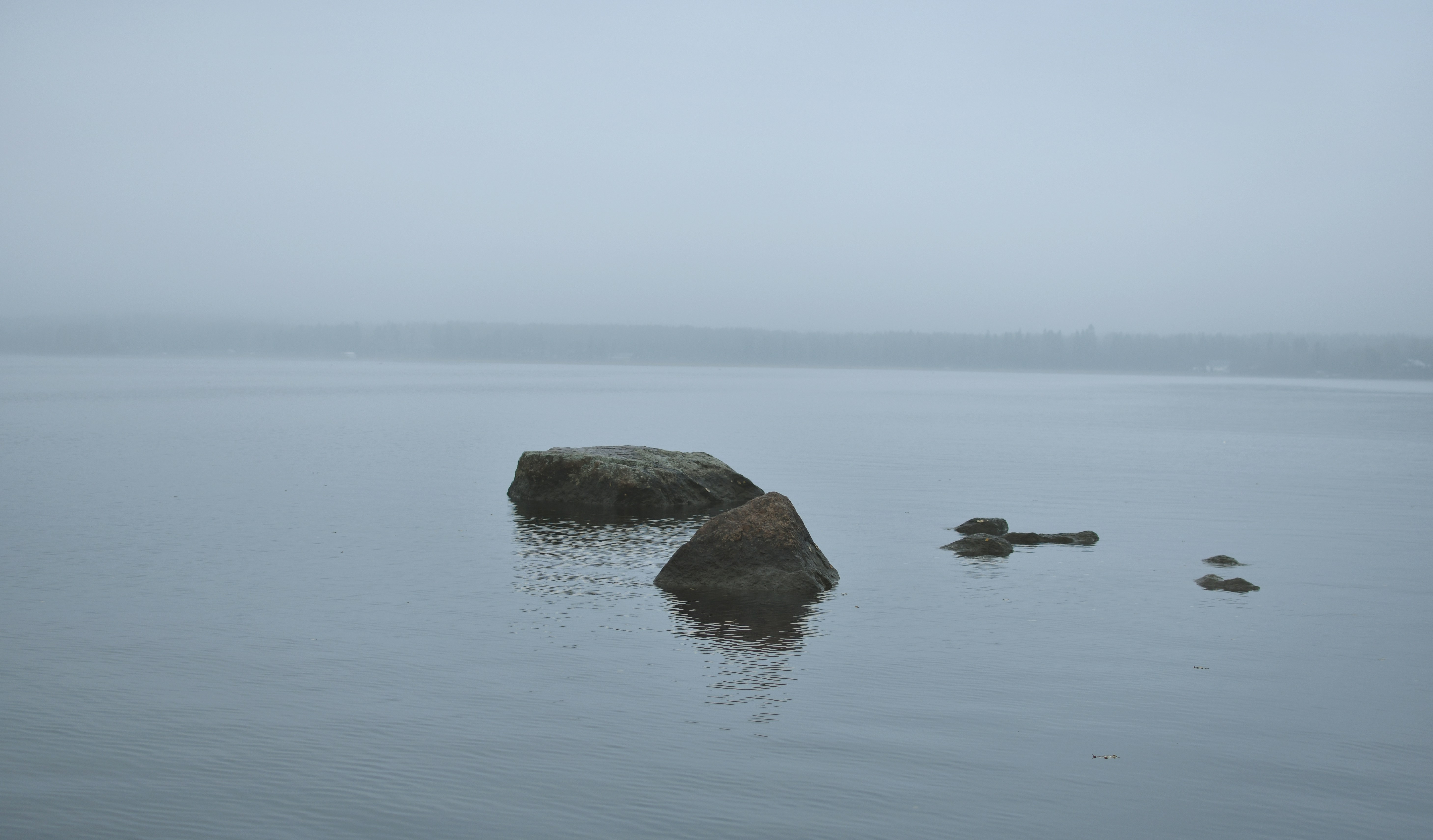 Photo by alinapotselueva