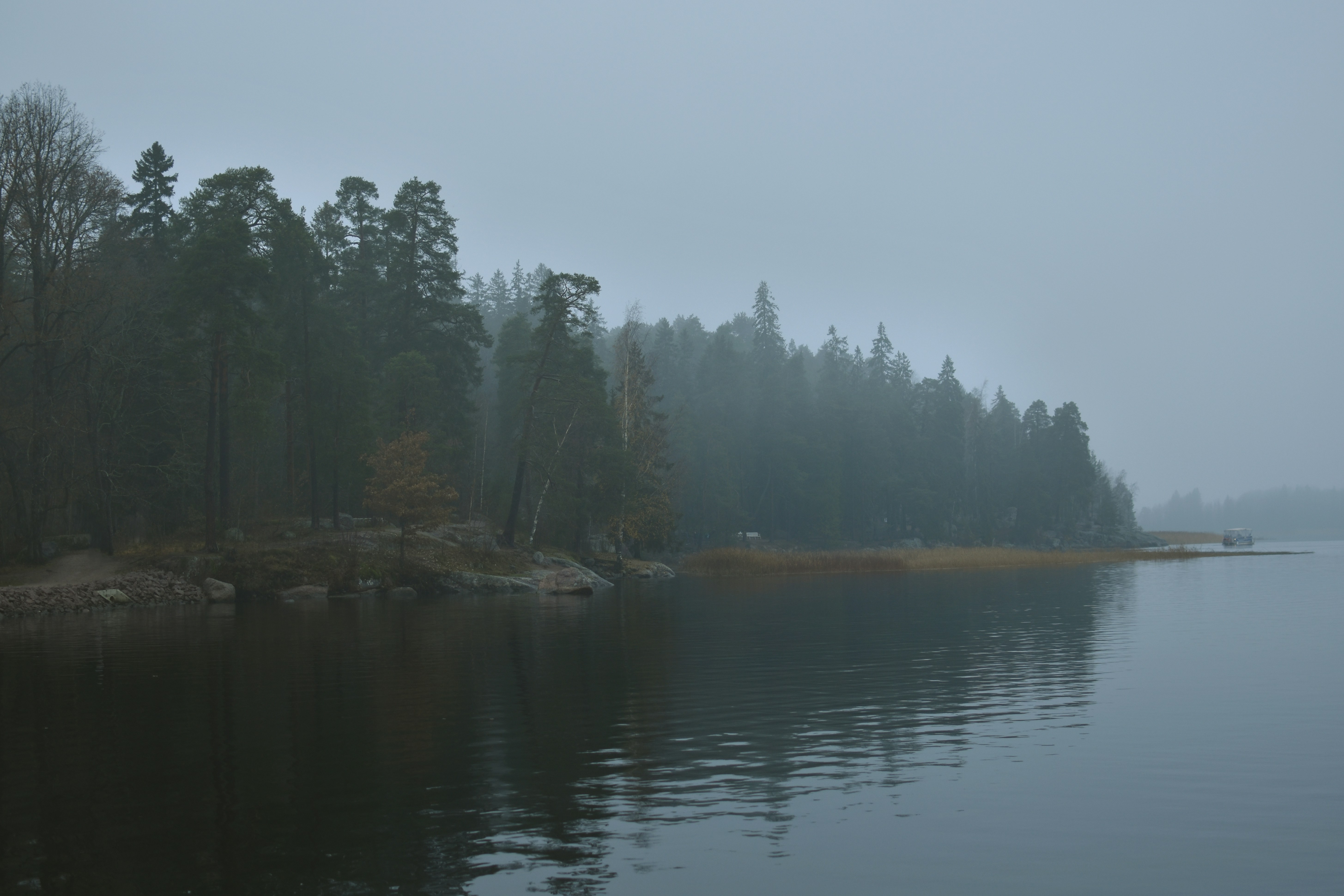 Photo by alinapotselueva