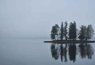 a small island in the middle of a body of water