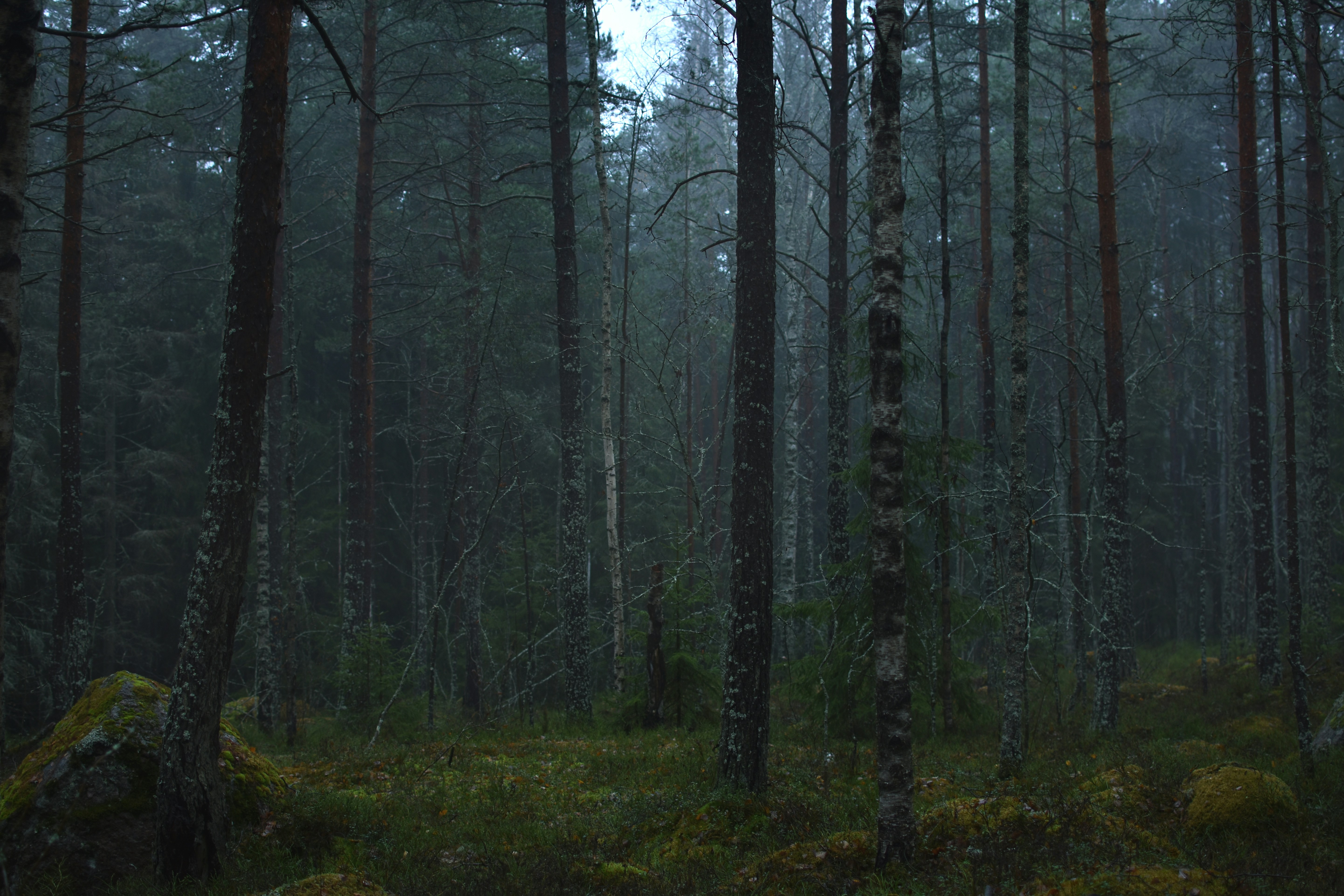 Photo by alinapotselueva