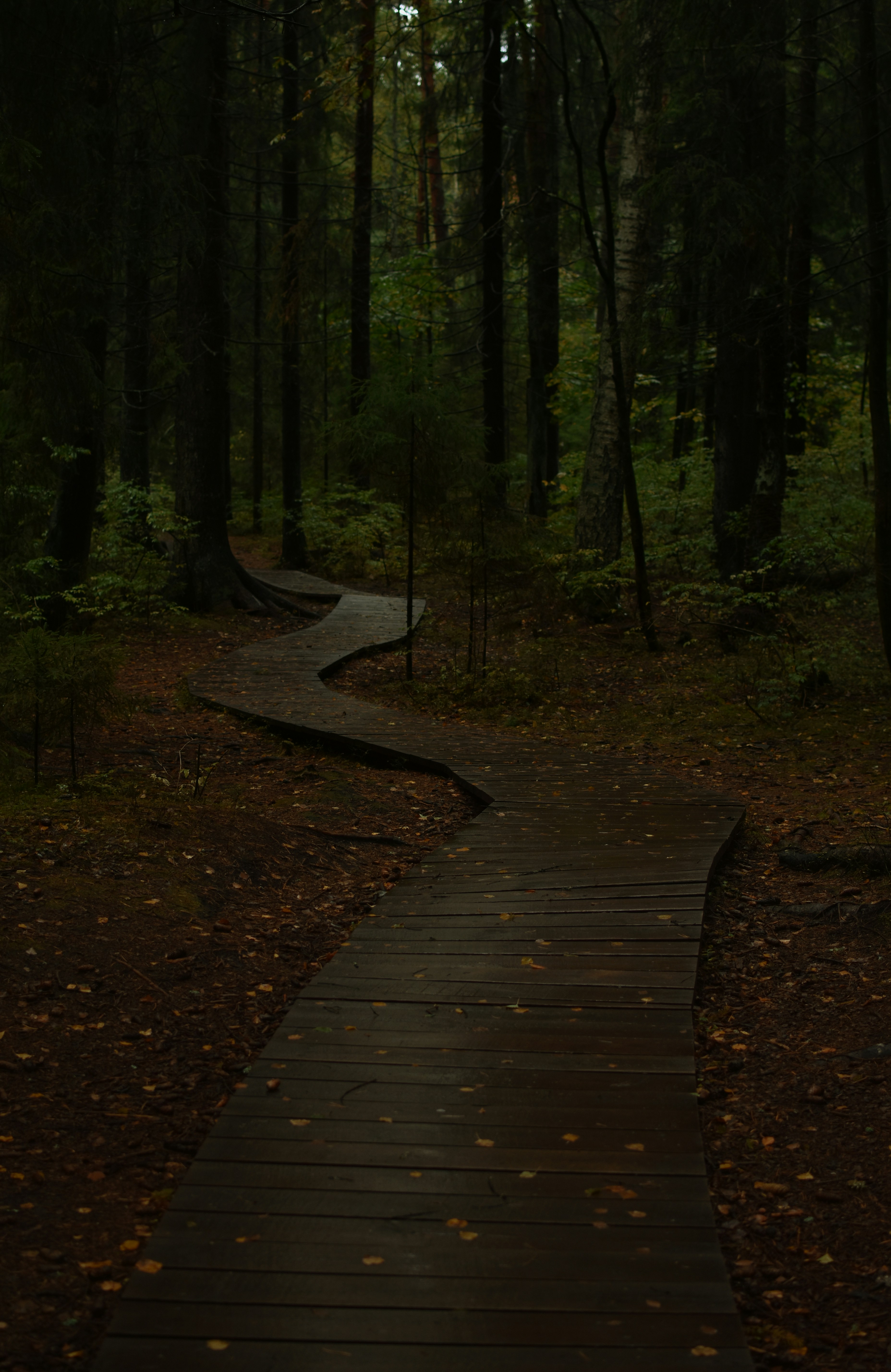 Photo by alinapotselueva