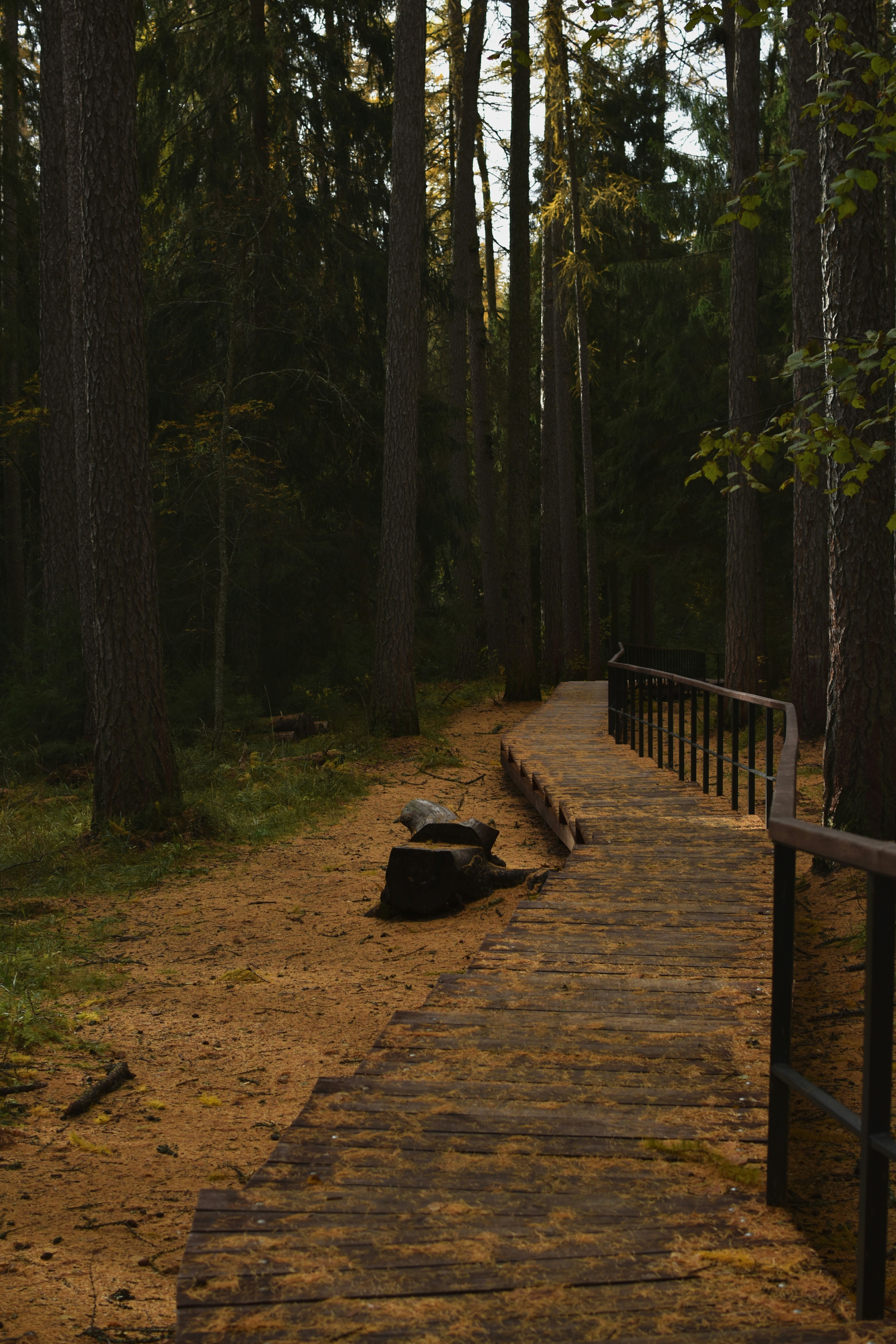 Photo by alinapotselueva