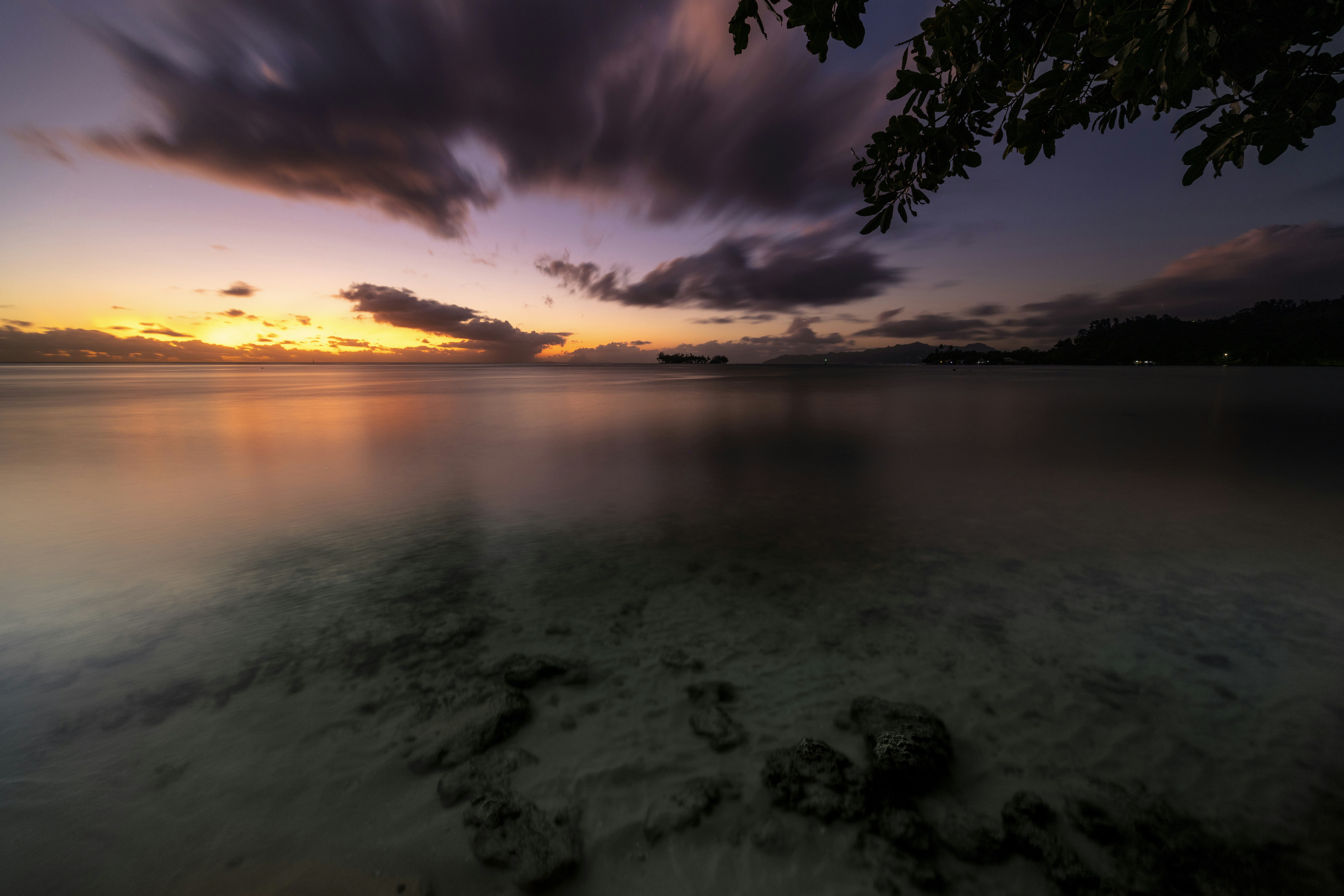 a sunset over a body of water with a tree in the foreground, 