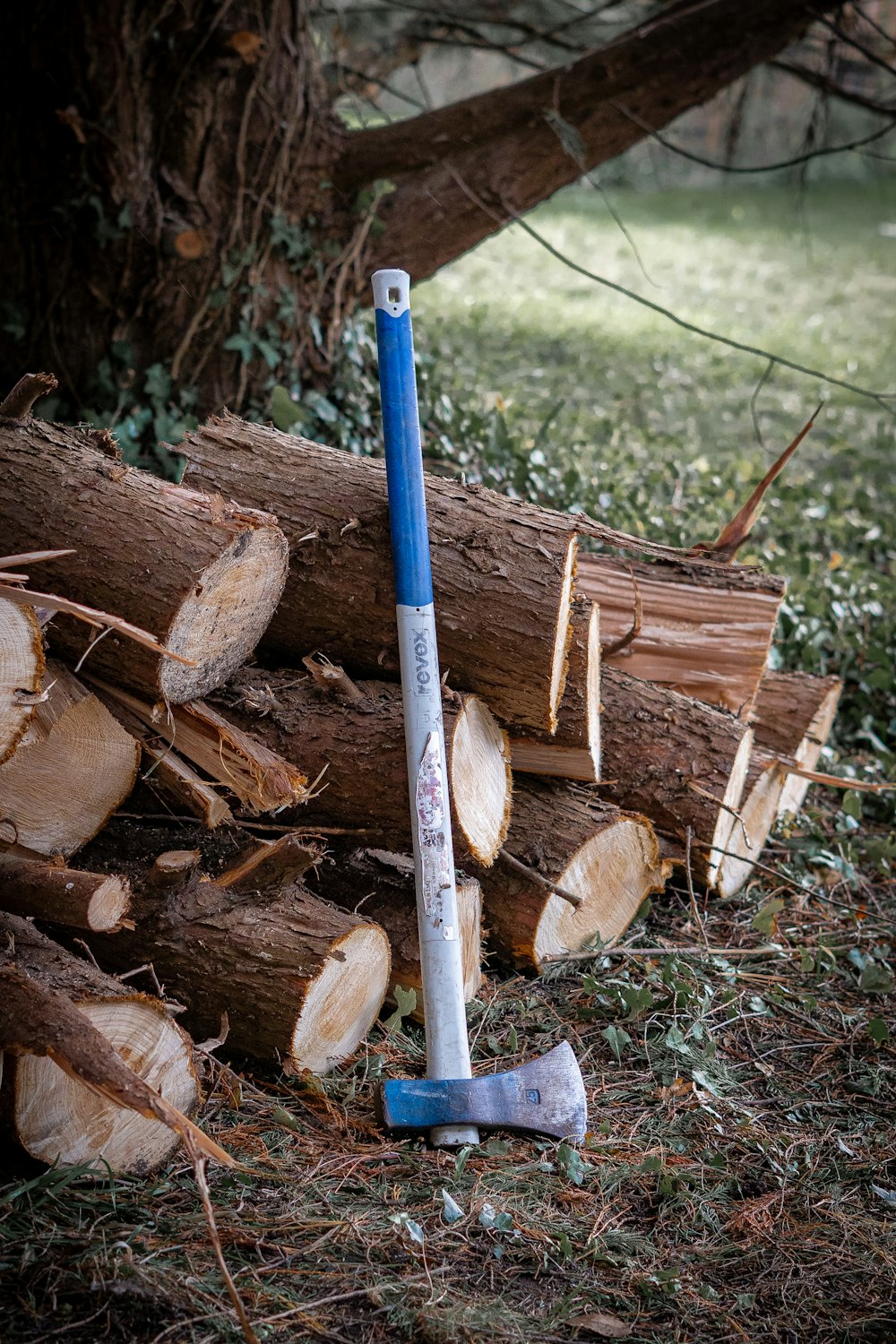 a pile of logs and a blue handled axe