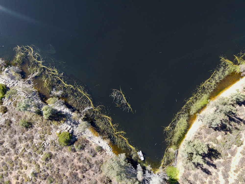 a large body of water surrounded by dry grass