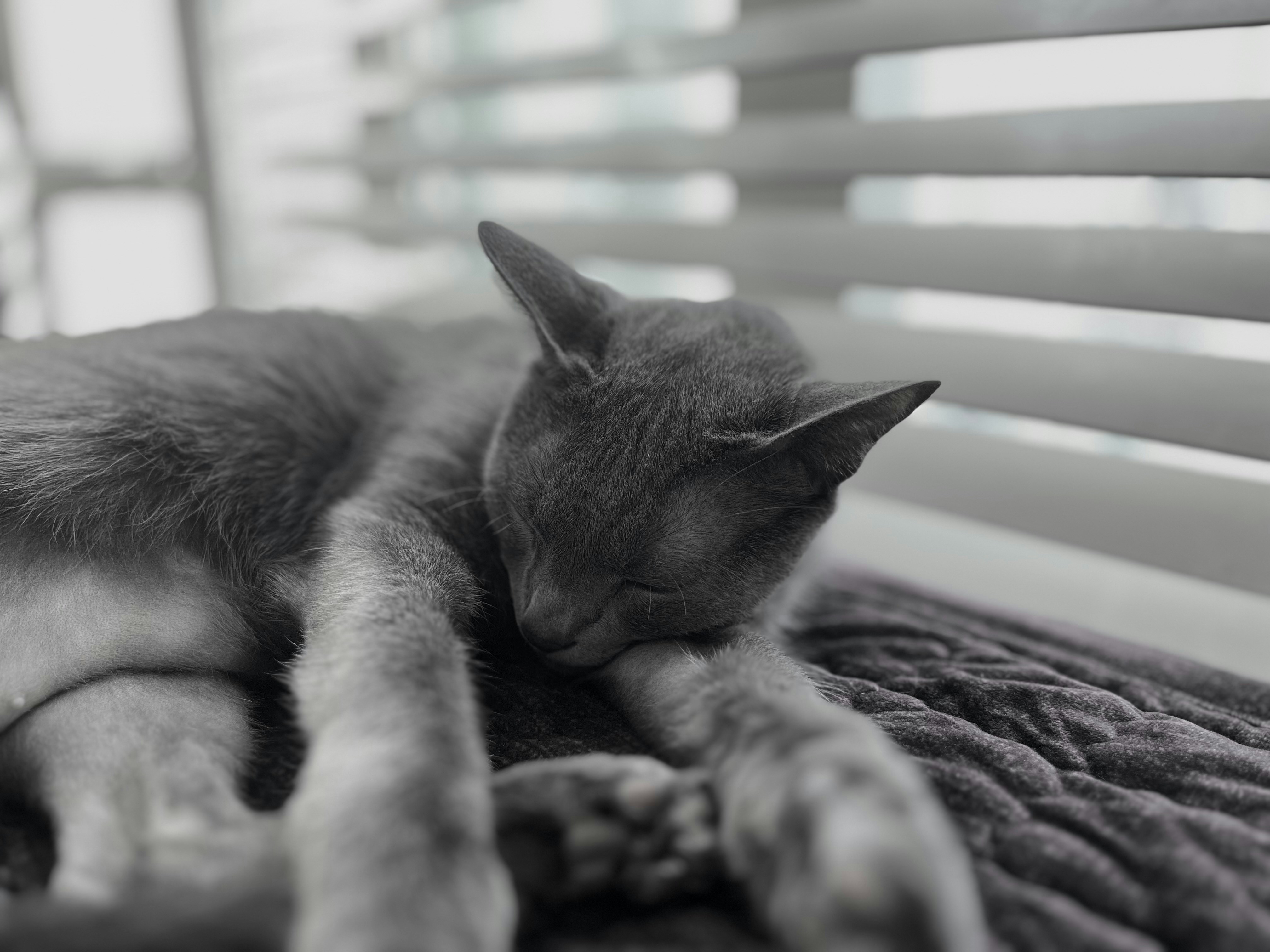 Photo by grfuckingfastboy