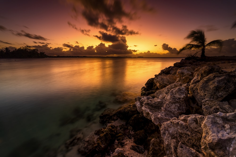 a beautiful sunset over the ocean with a palm tree in the foreground