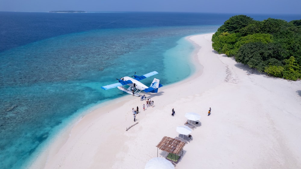 a blue and white plane flying over a sandy beach