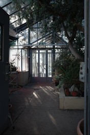 a room with a lot of plants inside of it