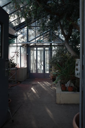 a room with a lot of plants inside of it