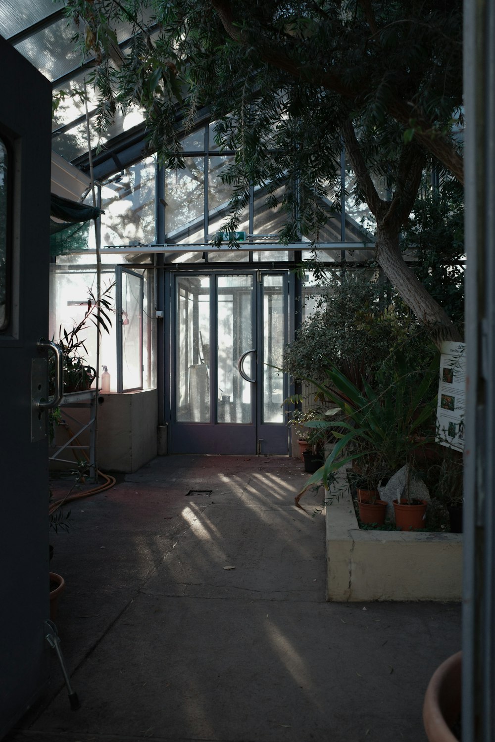 a room with a lot of plants inside of it