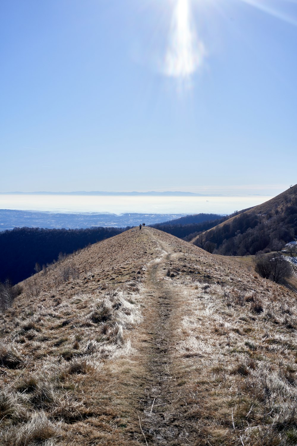 a dirt road going up a hill with the sun shining on it