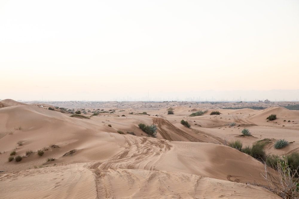 a dirt road in the middle of a desert