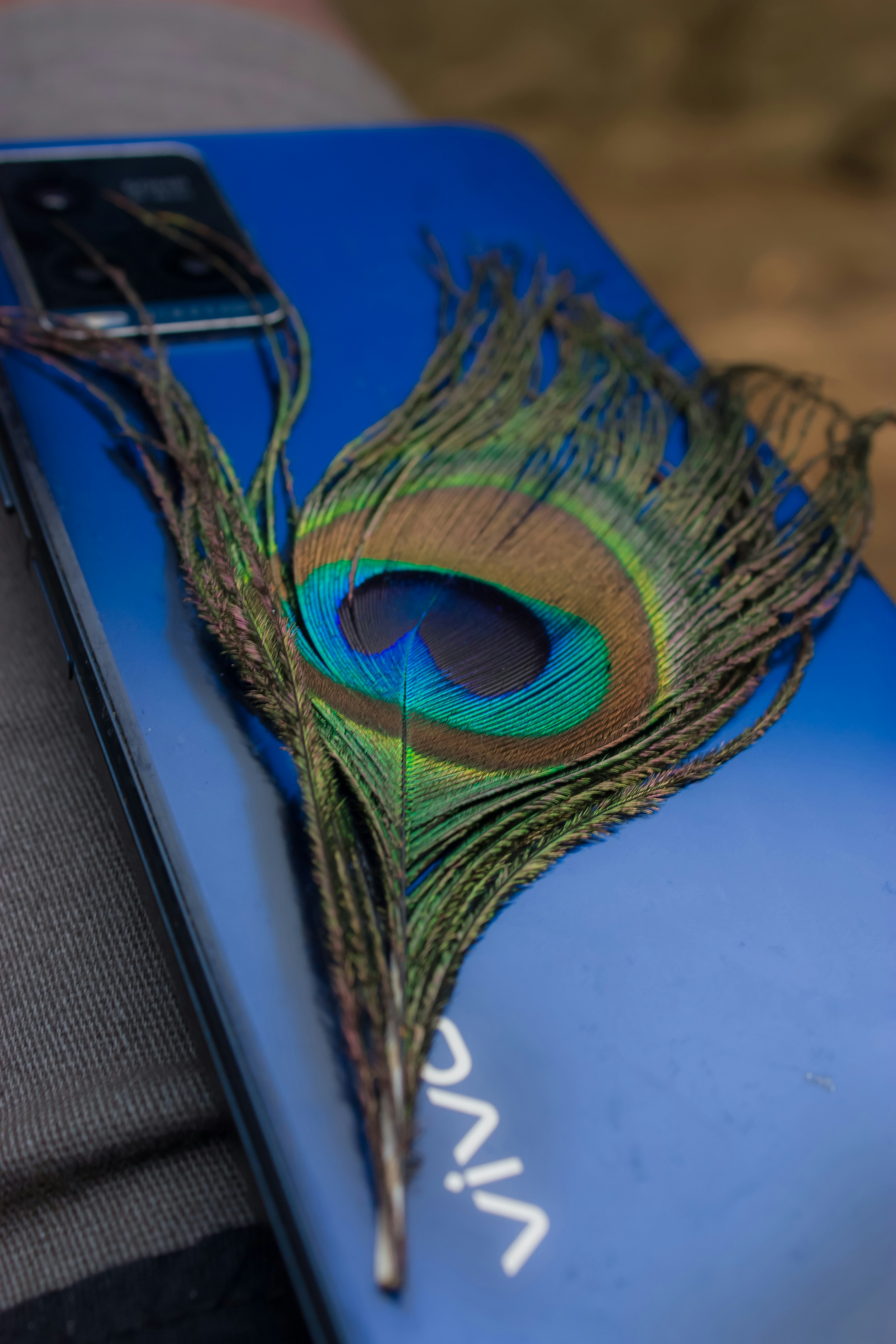 A close up of a cell phone with a peacock feather on it photo – Free ...