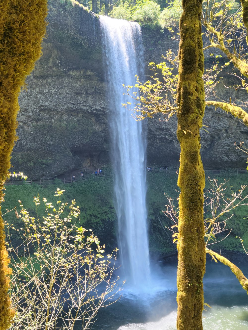 a tall waterfall with moss growing on the side of it