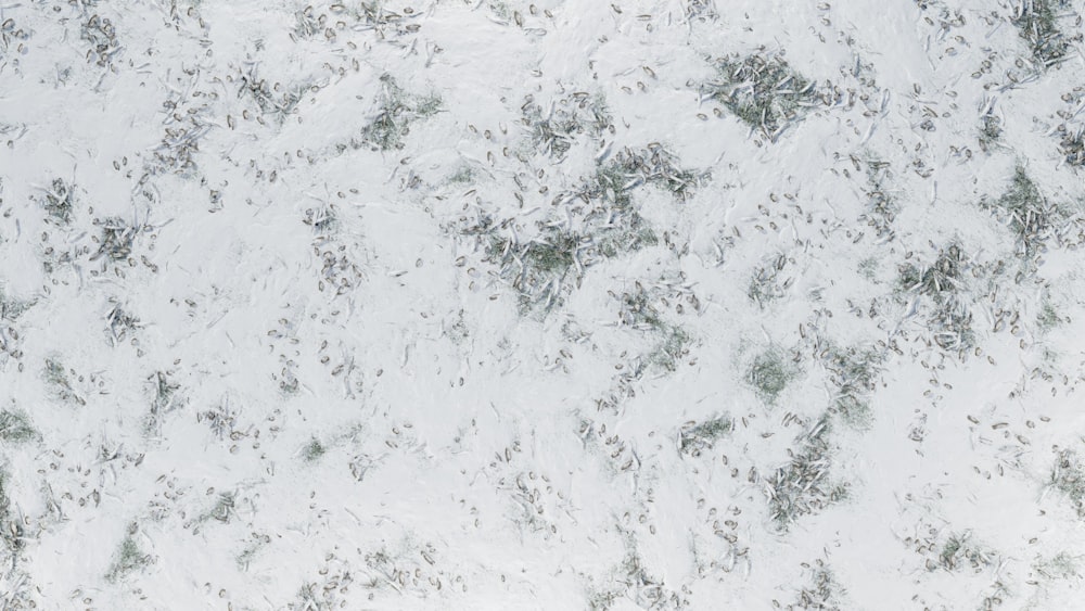 a close up of a white marble surface