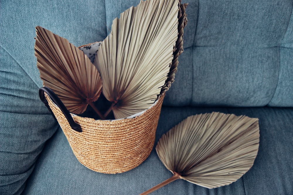 two umbrellas sitting on a couch next to each other