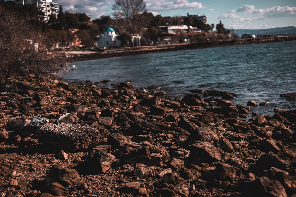 a bird is sitting on the rocks by the water