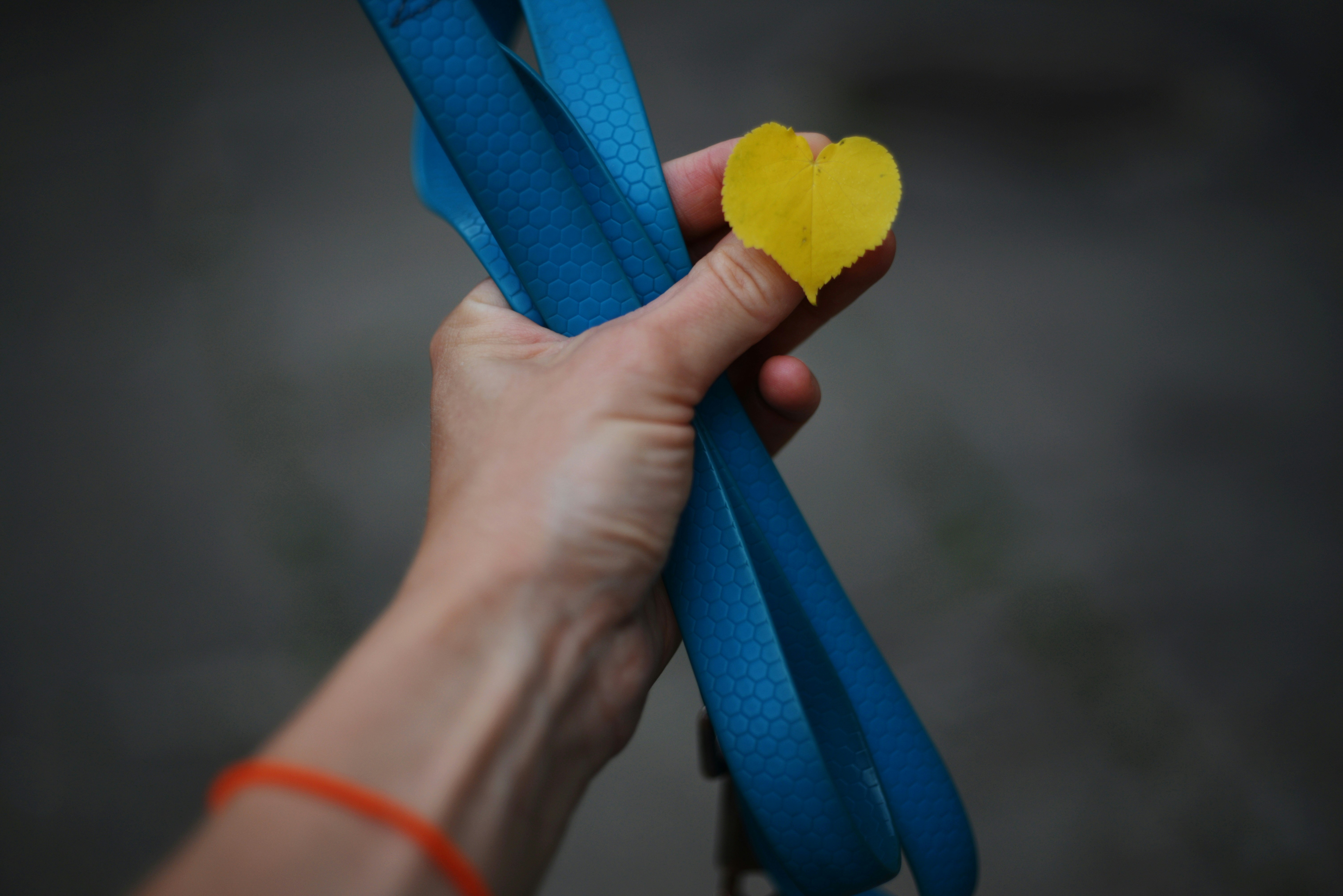 eine Person, die einen blau-gelben Gegenstand in der Hand hält