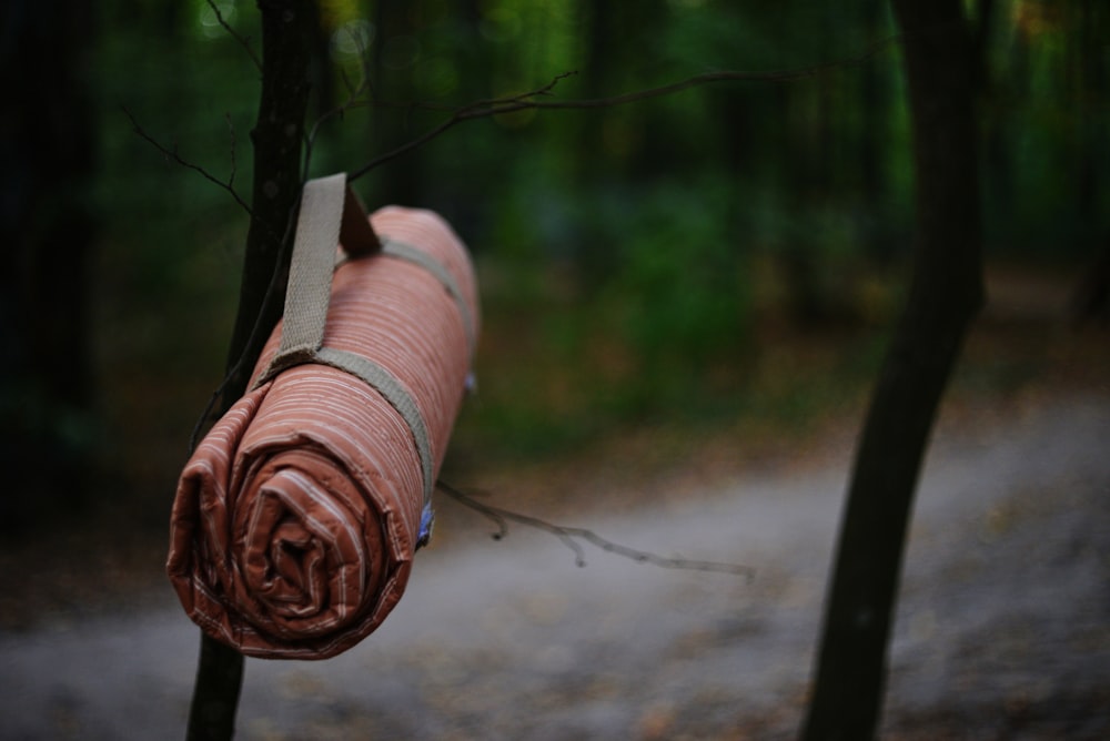 un pedazo de tela enrollado que cuelga de un árbol