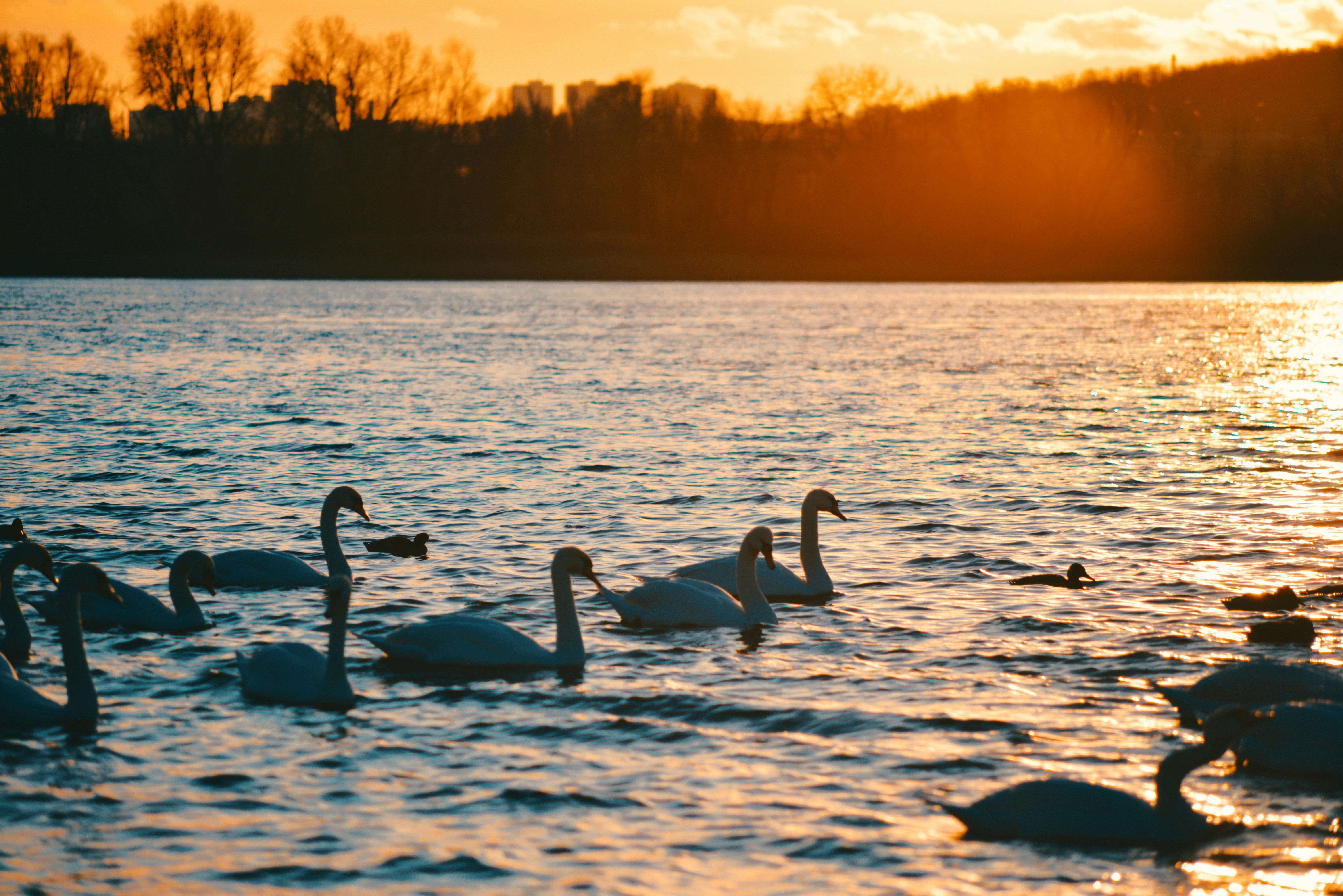 Photo by cherstve_pechivo