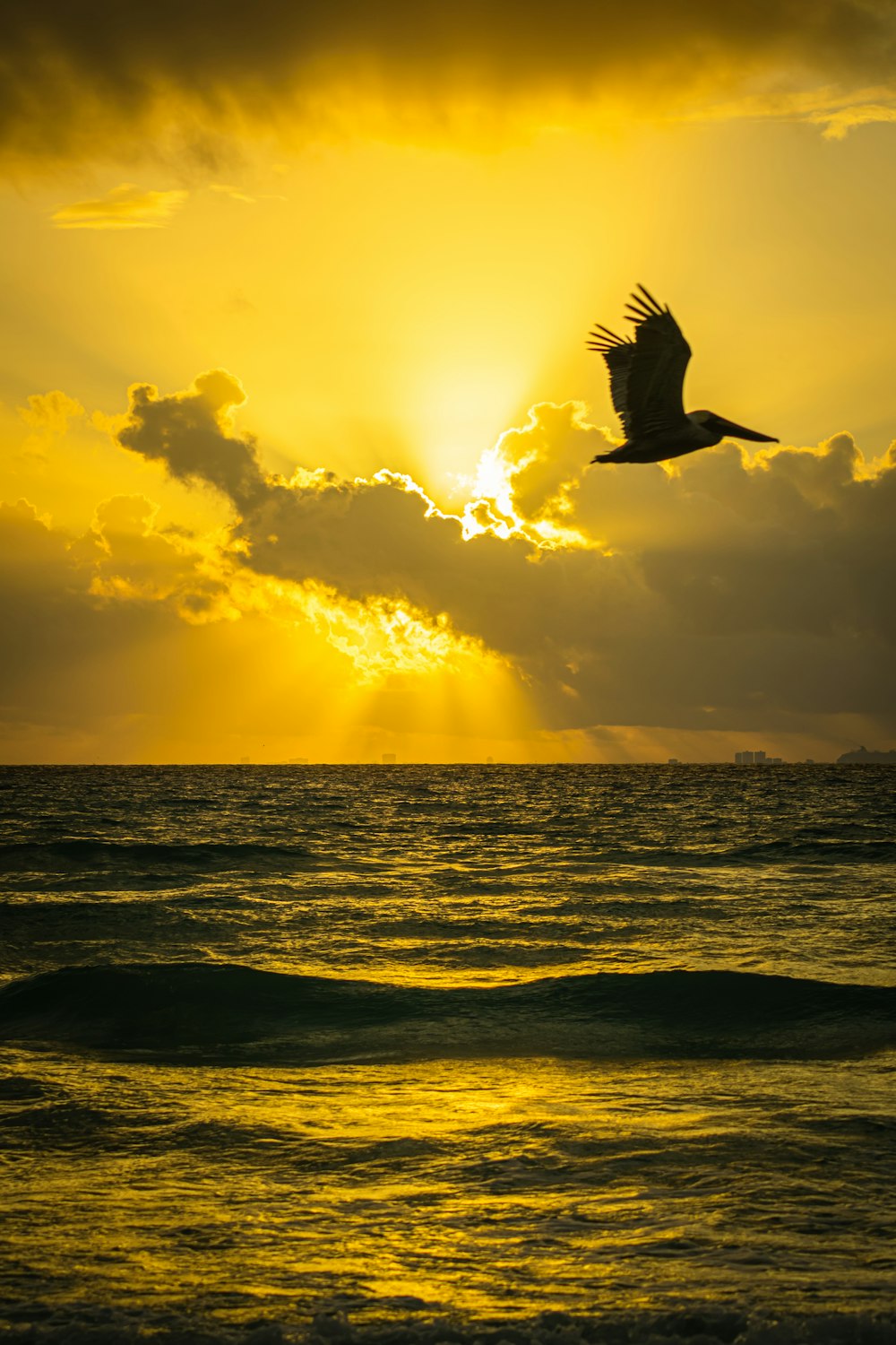 a bird flying over the ocean at sunset