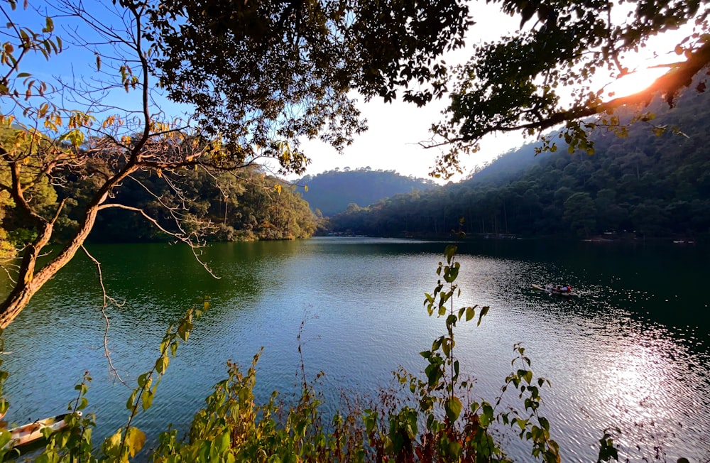 a large body of water surrounded by trees