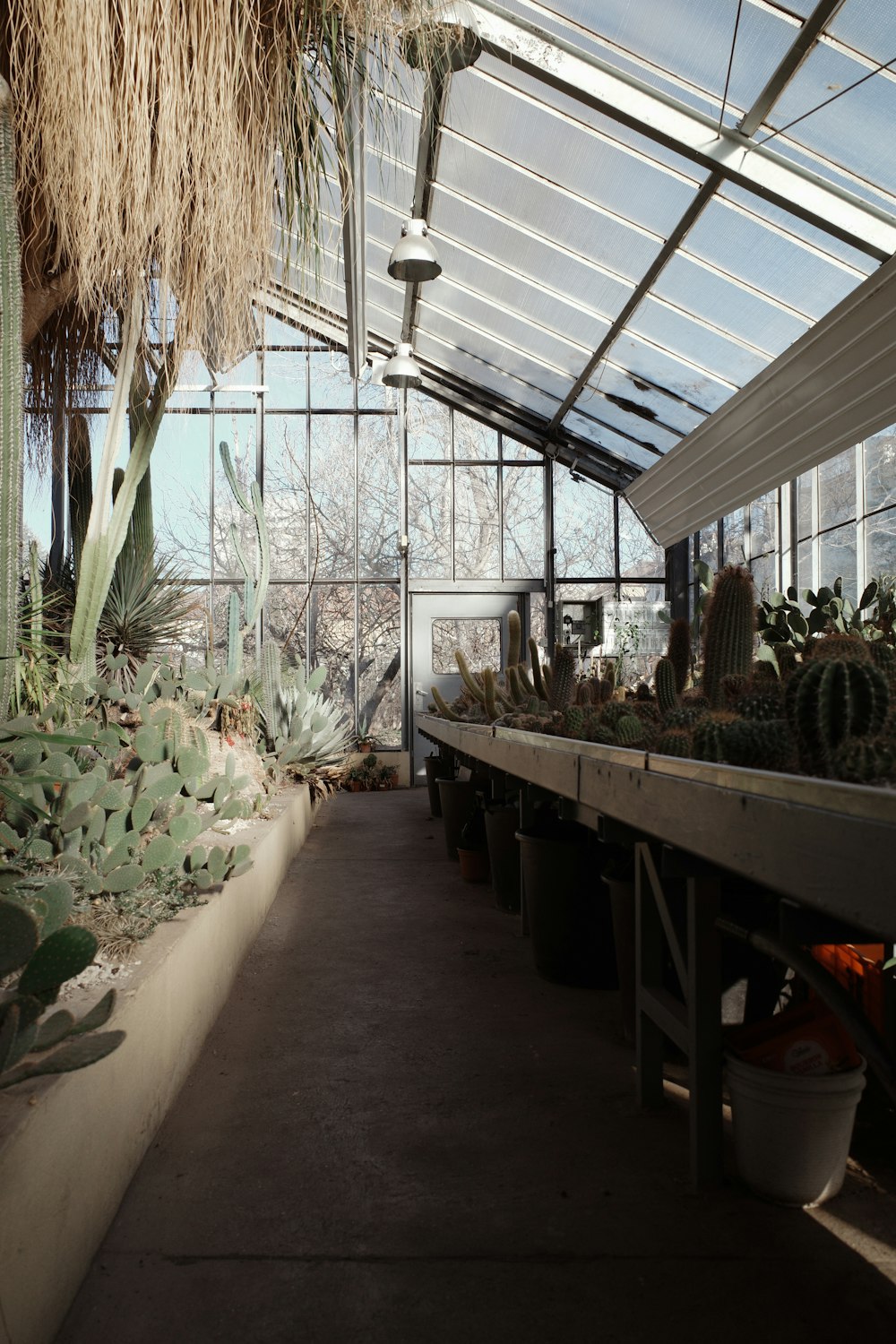 a greenhouse filled with lots of different types of plants