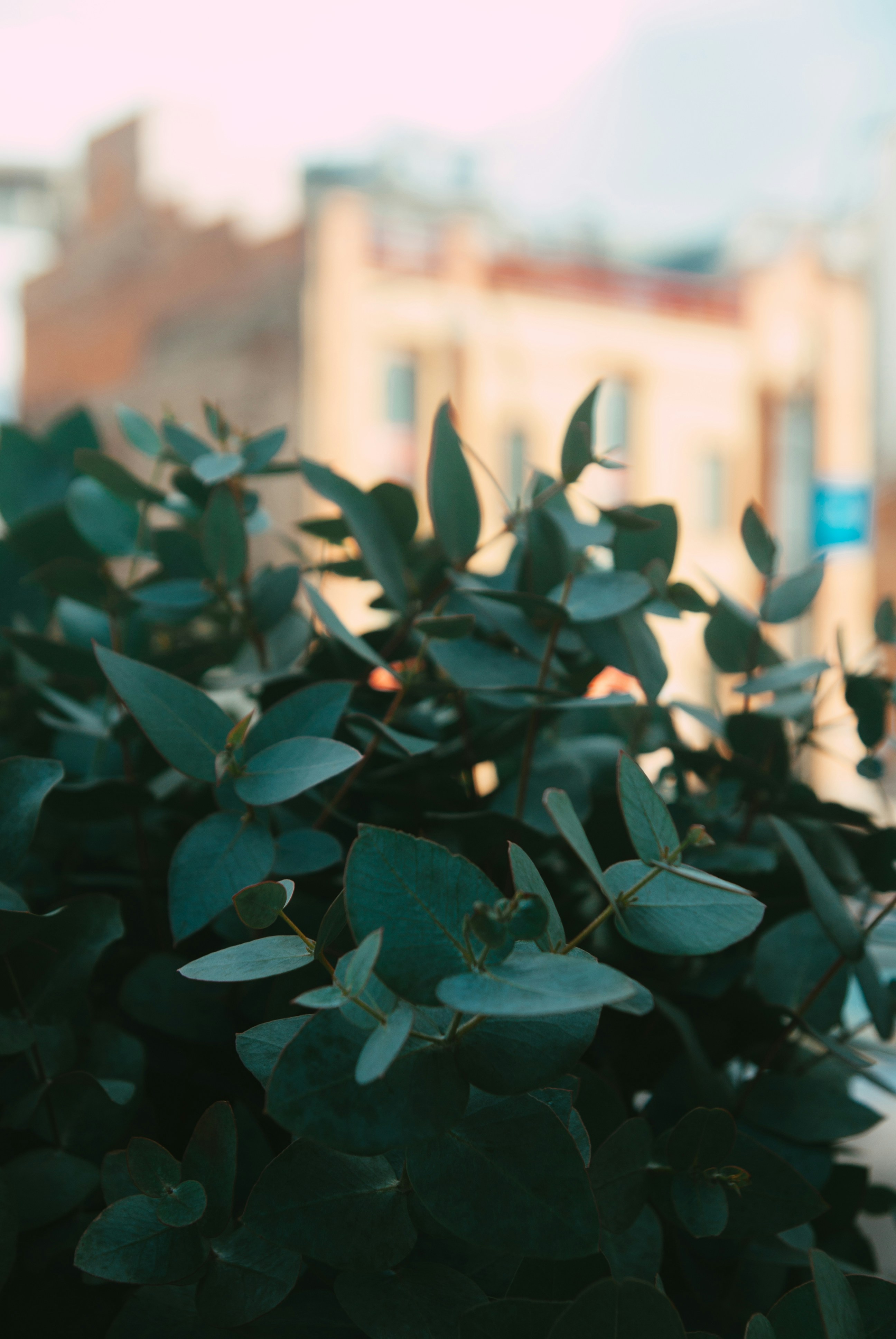 Photo by moonmoons_days