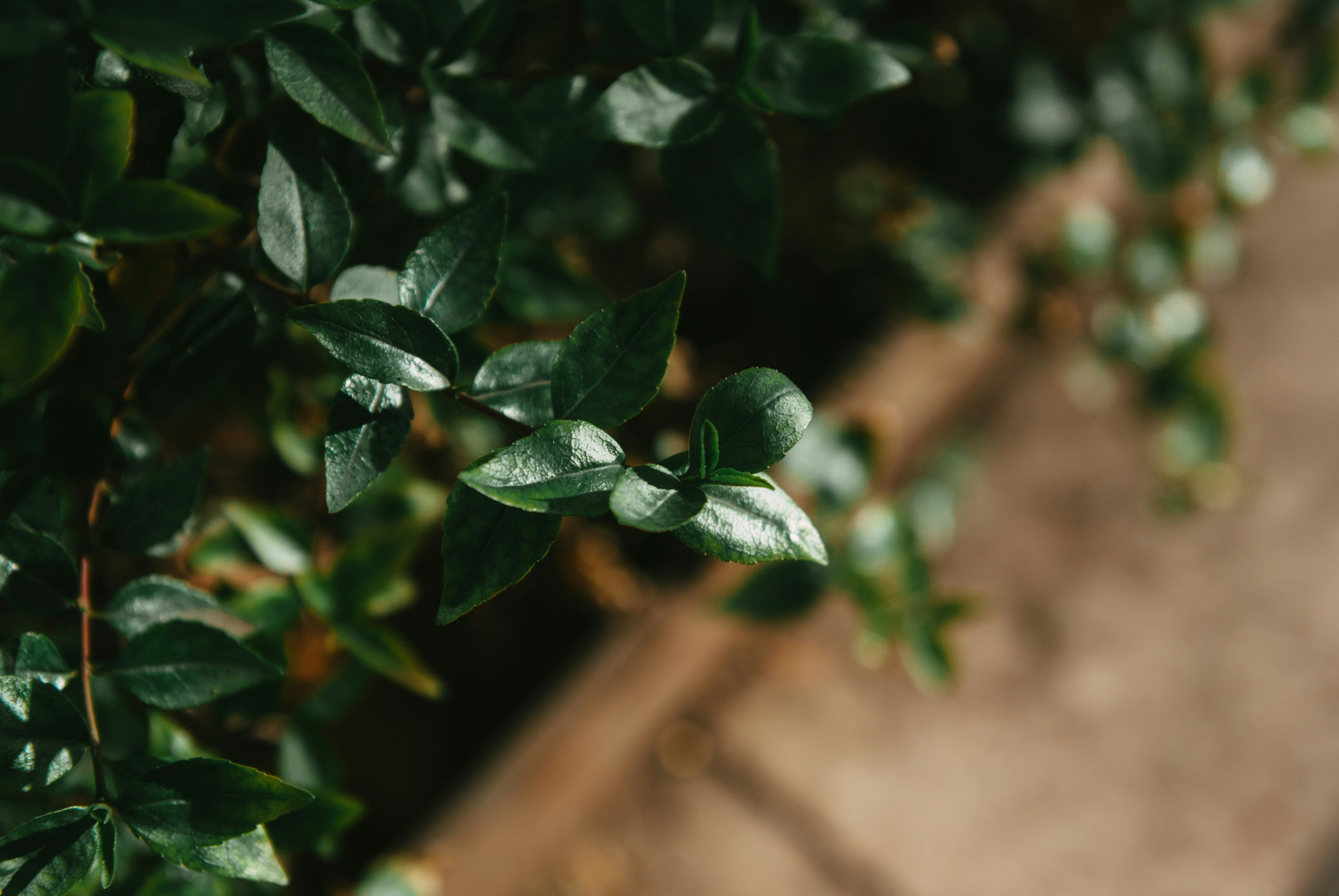 Photo by moonmoons_days