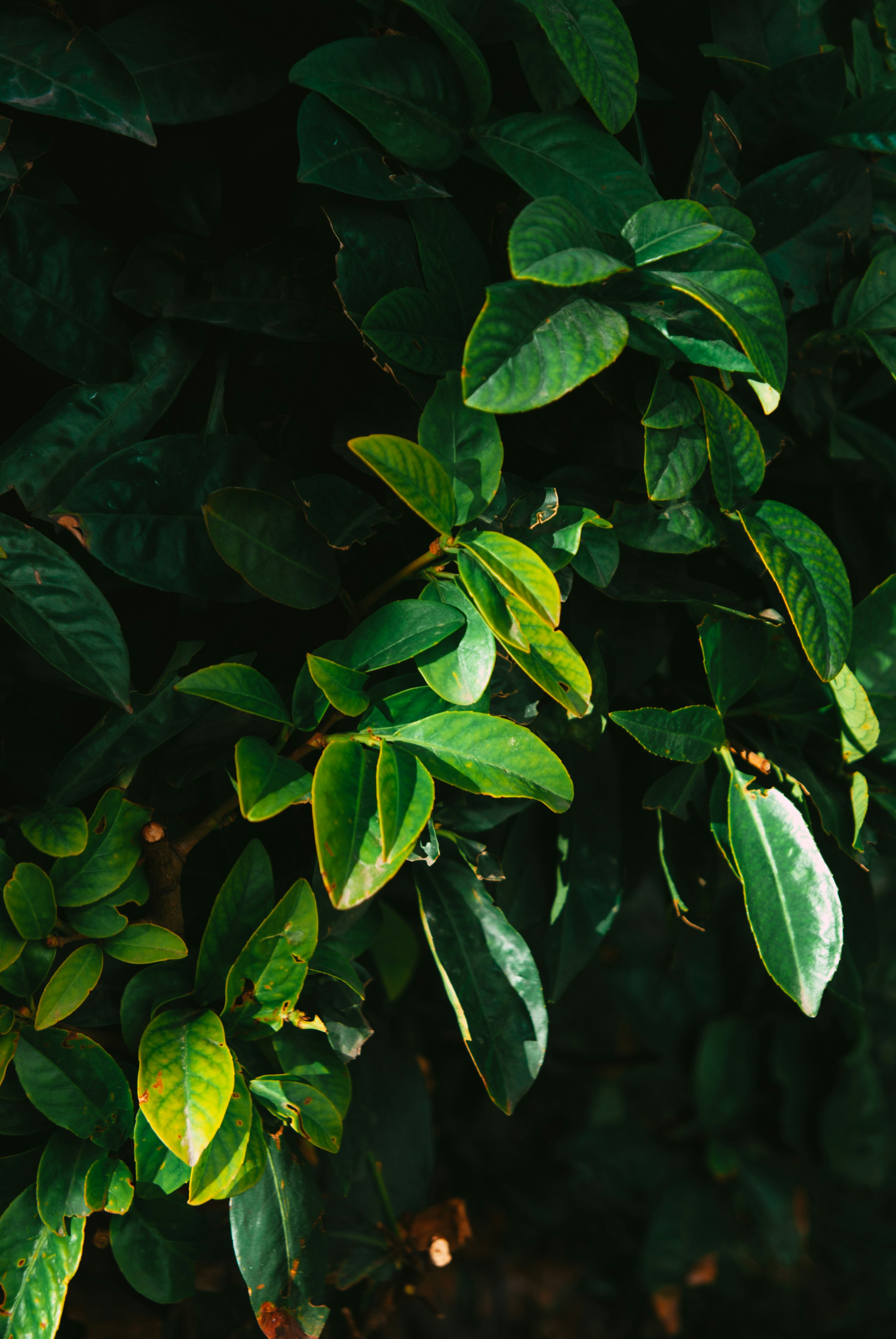 Photo by moonmoons_days