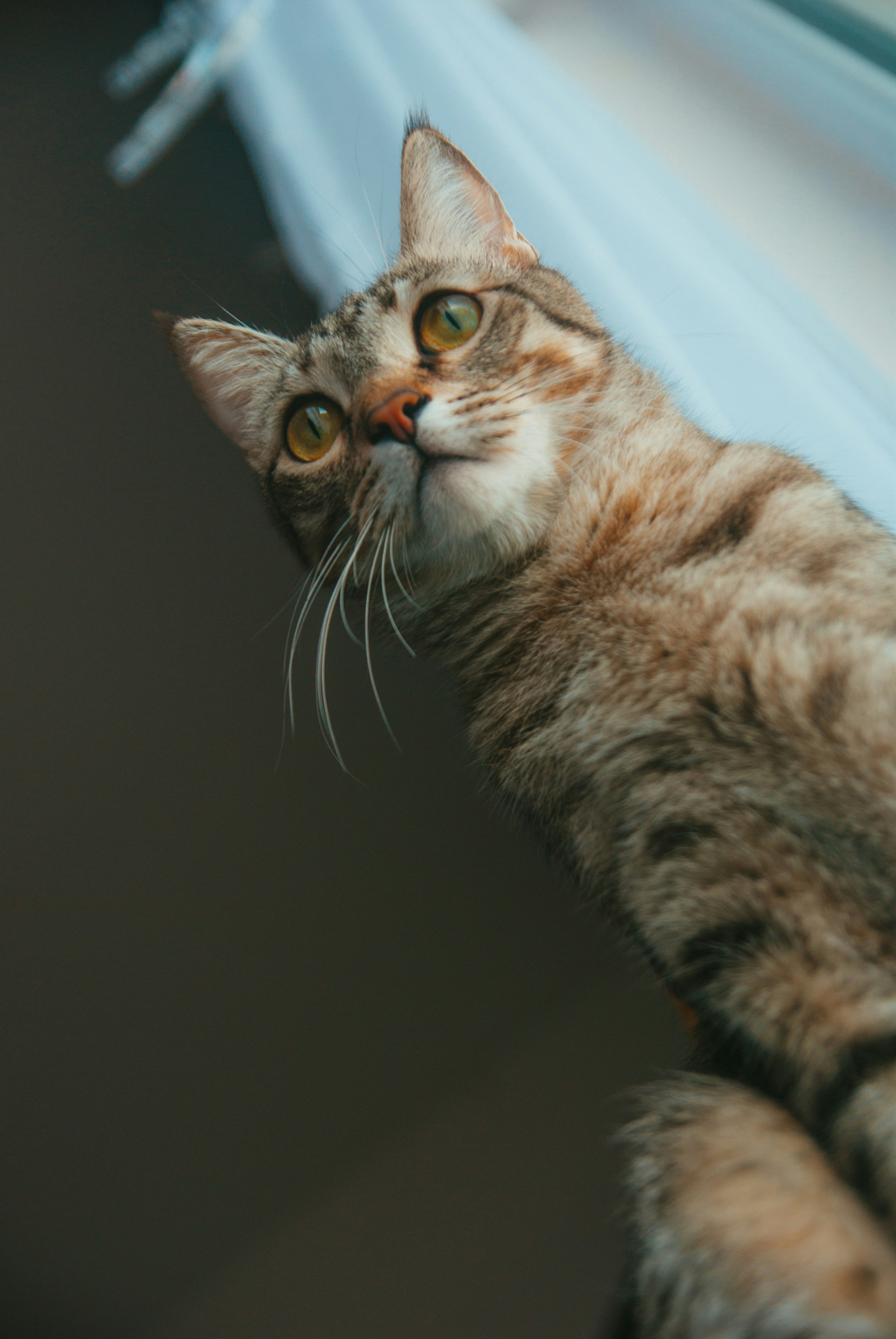 Photo by moonmoons_days