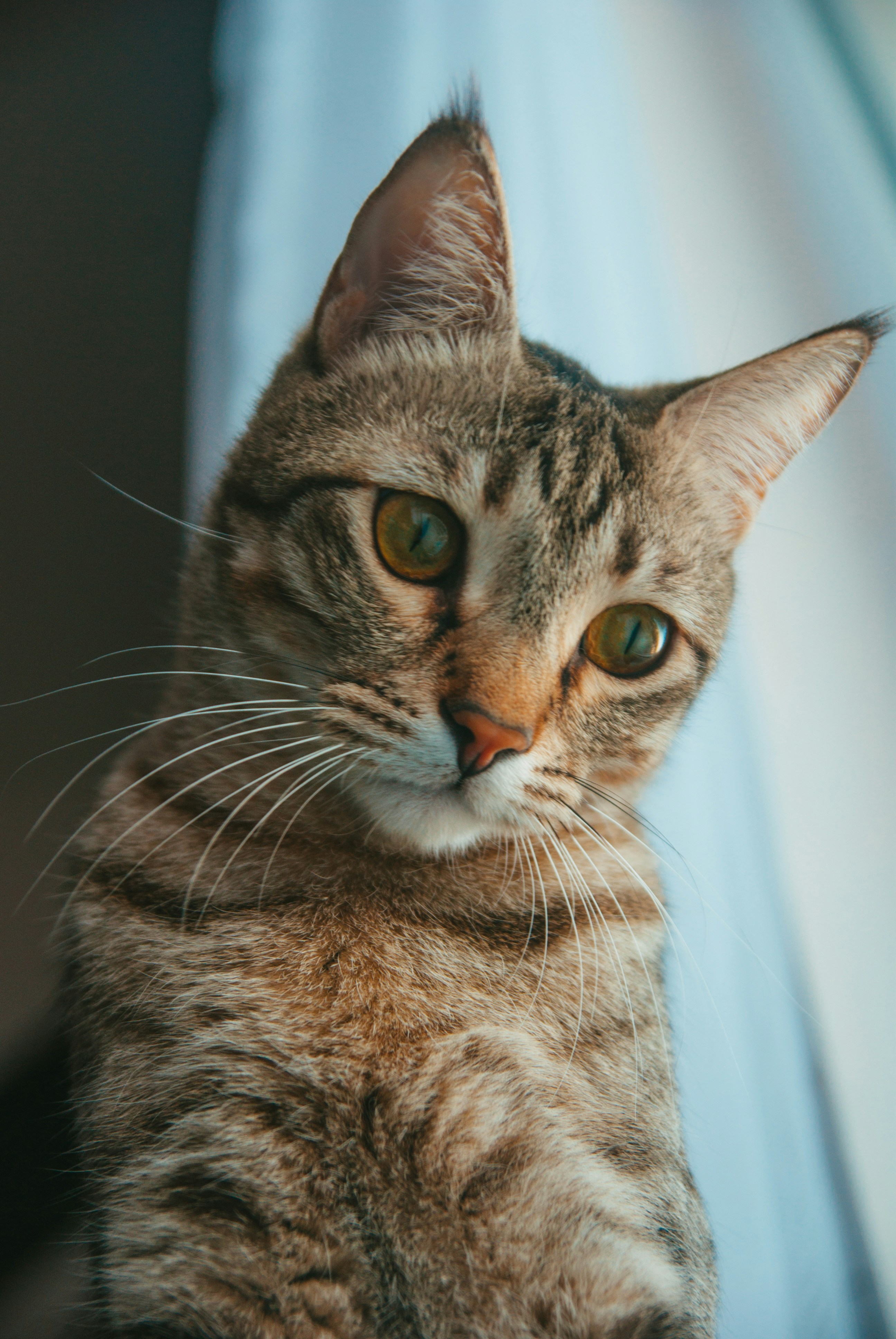 Photo by moonmoons_days