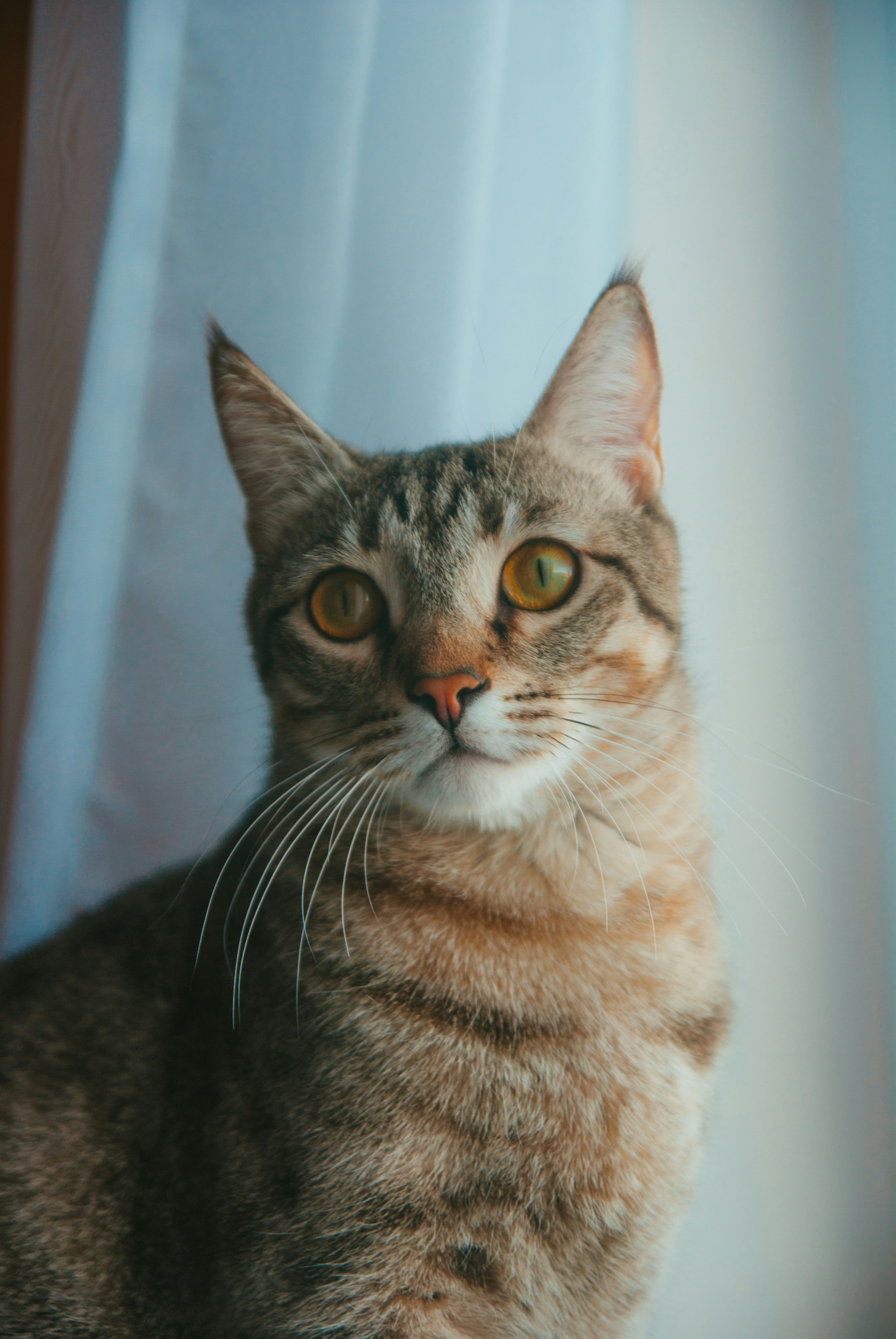 Photo by moonmoons_days