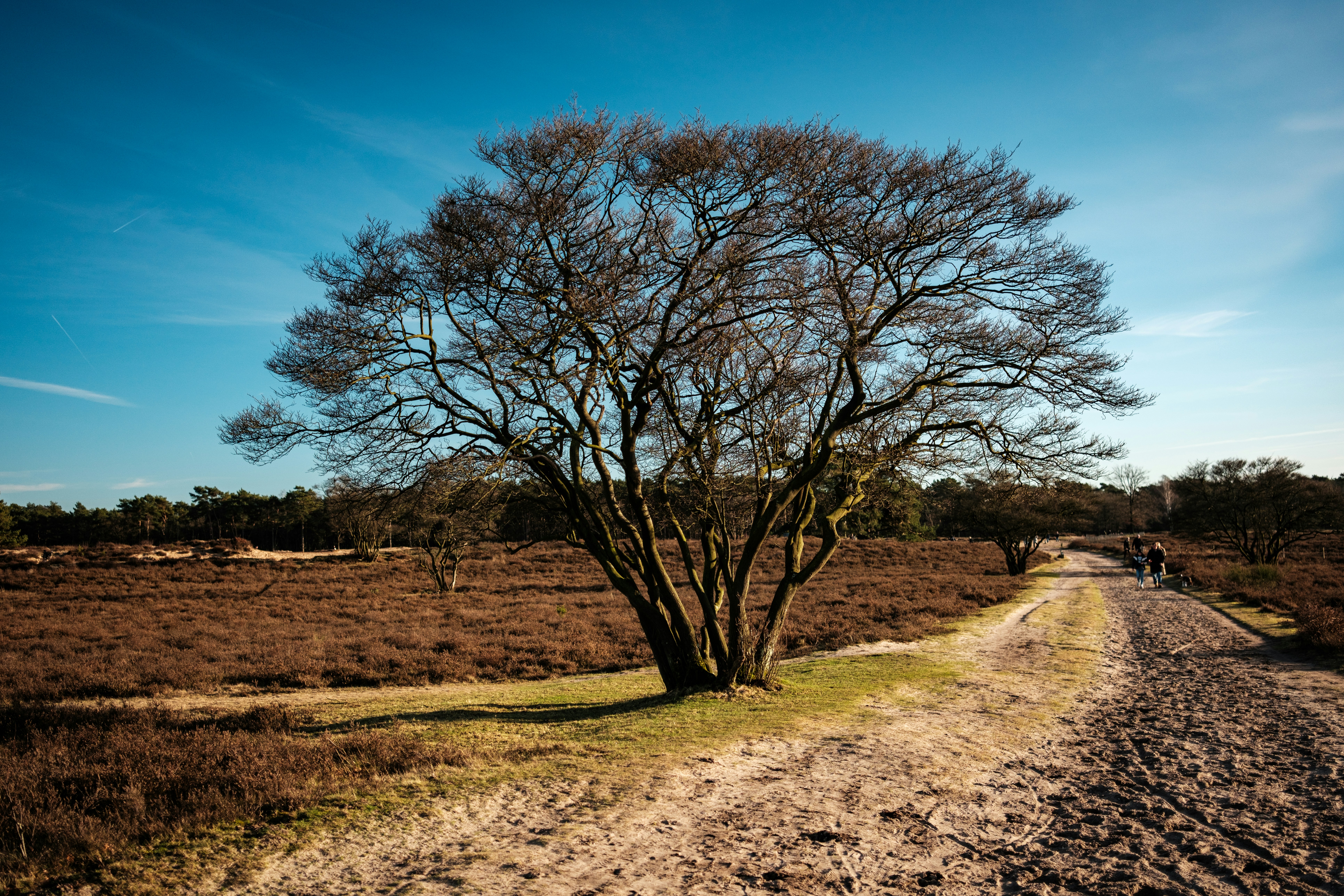 Photo by haberdoedas2