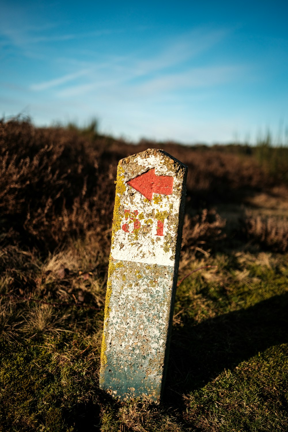a rusted sign sitting on top of a grass covered field