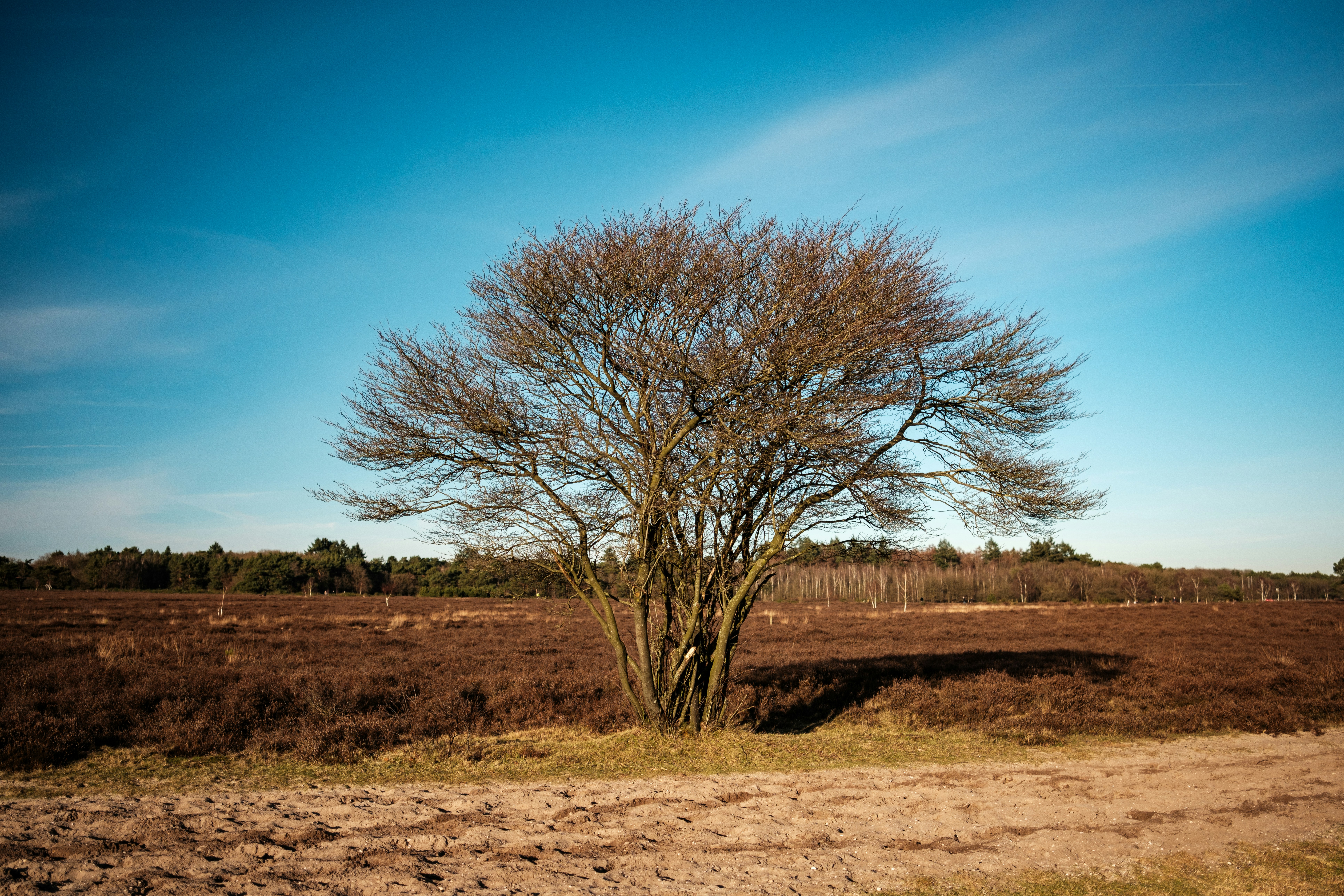 Photo by haberdoedas2