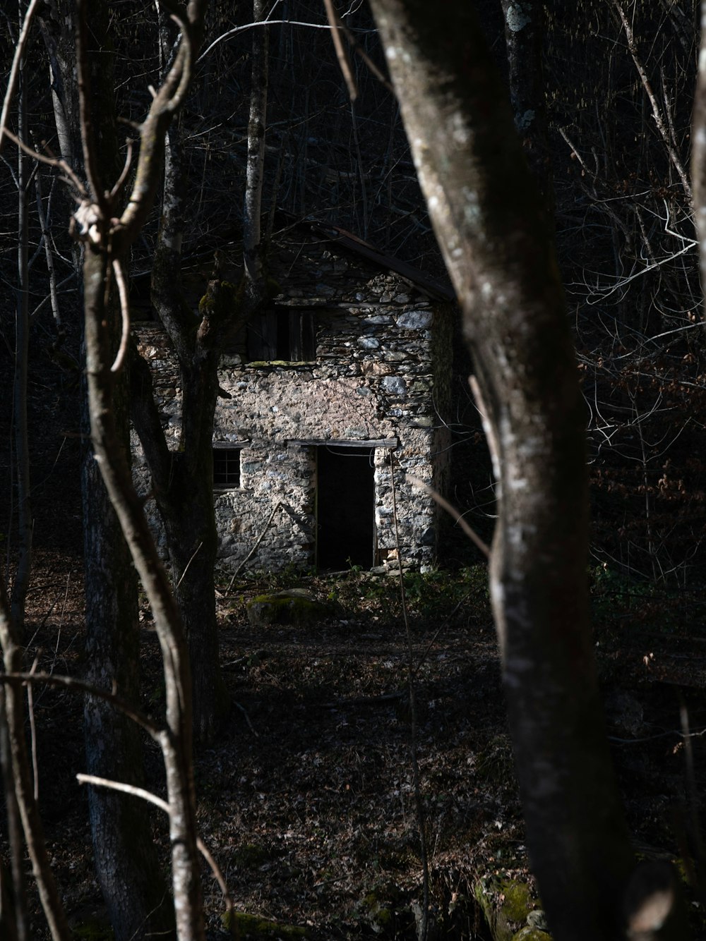 a stone building surrounded by trees in the woods