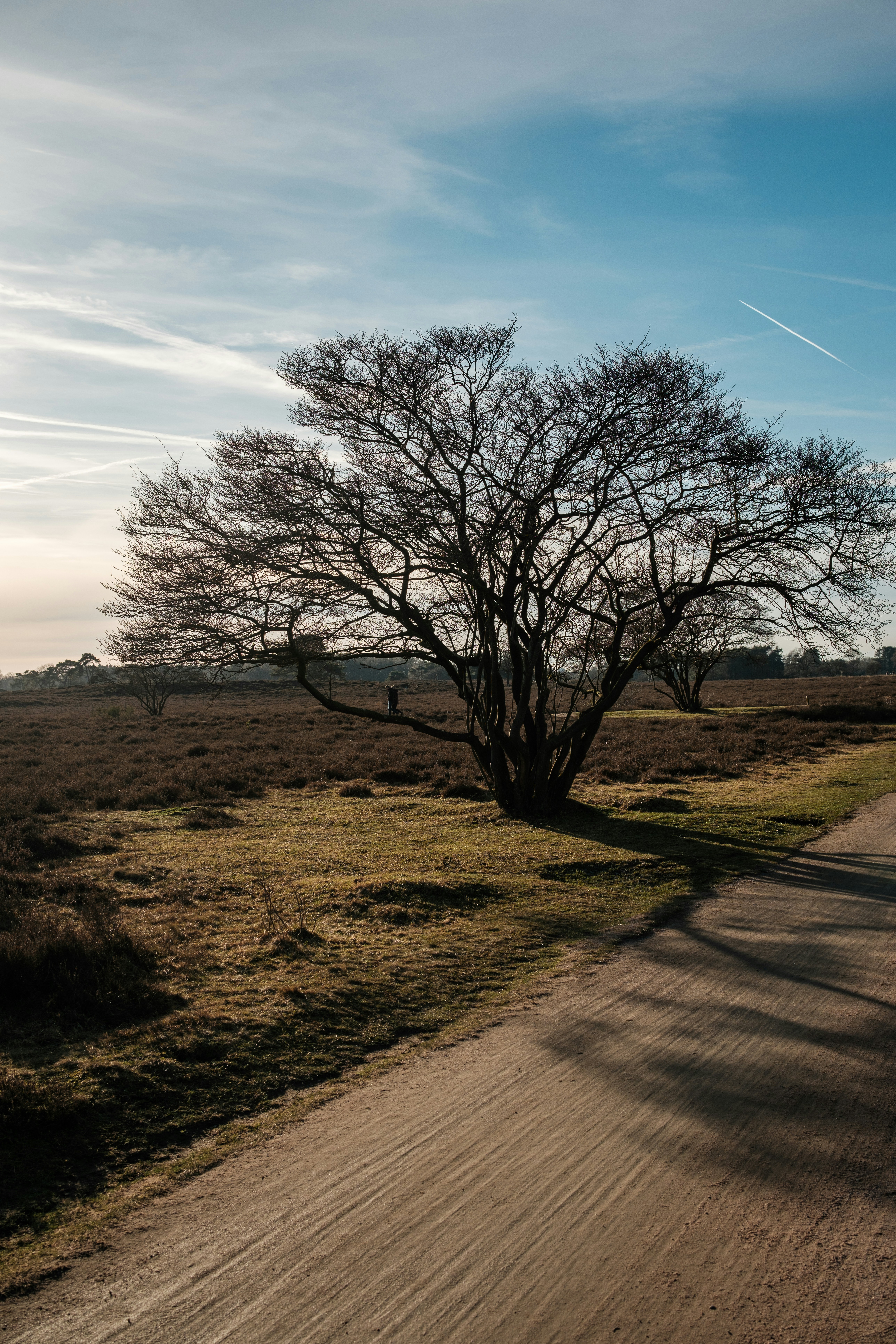 Photo by haberdoedas2