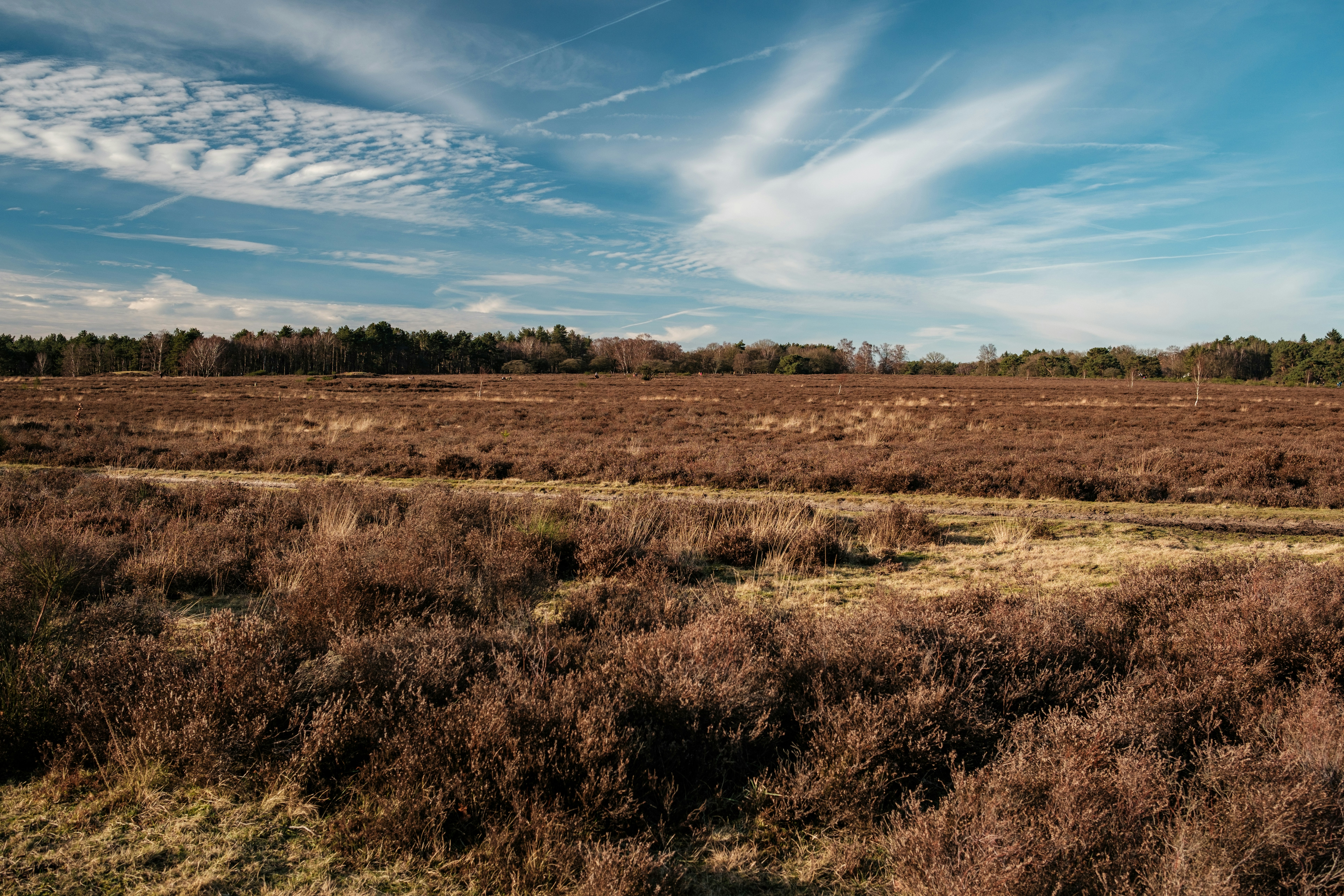 Photo by haberdoedas2